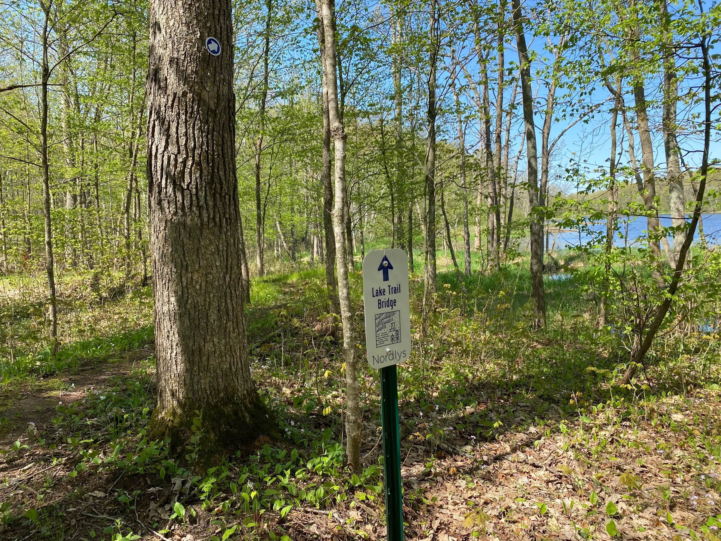 Wander Frederic River #17