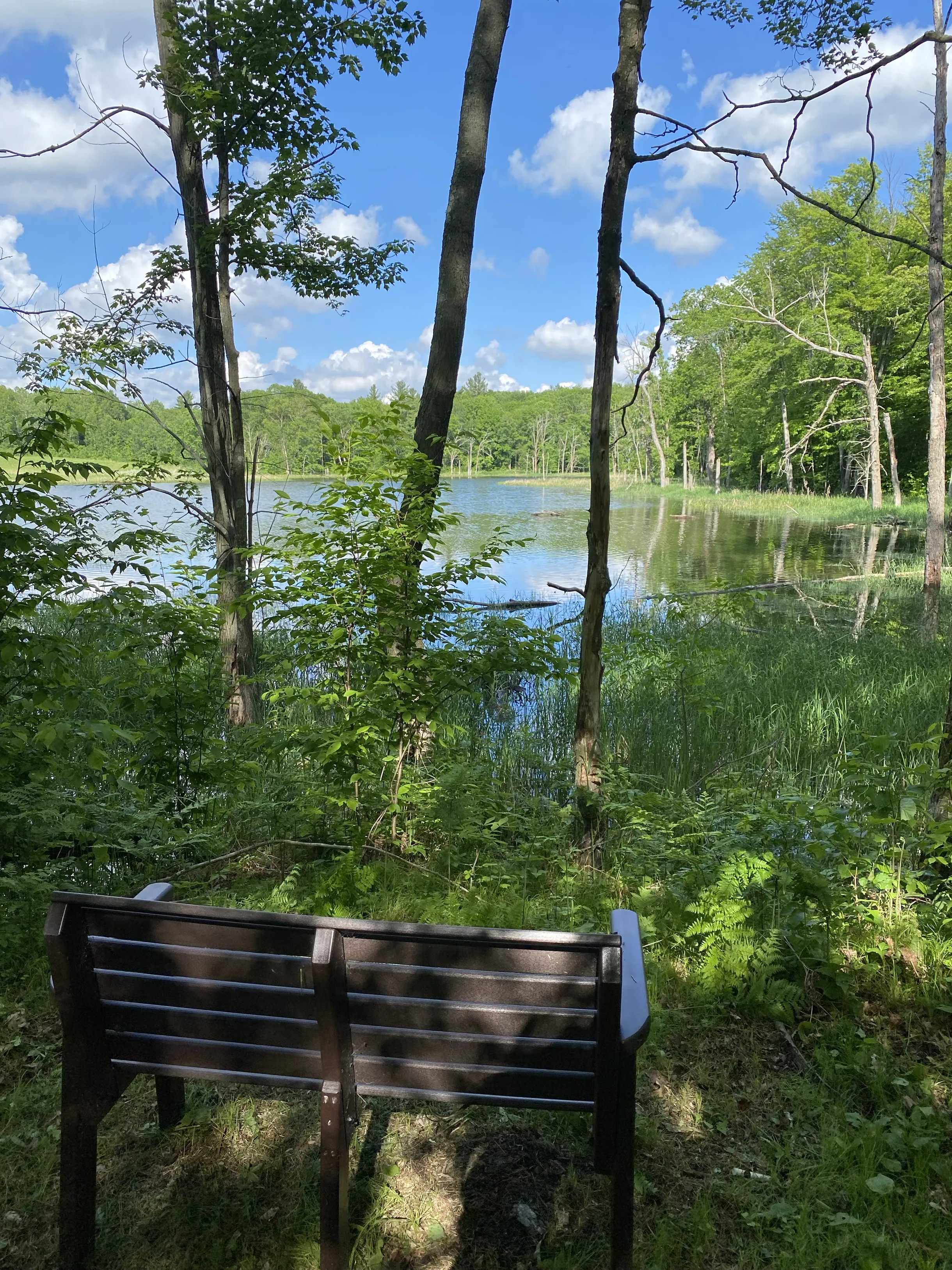 Wander Frederic River #31