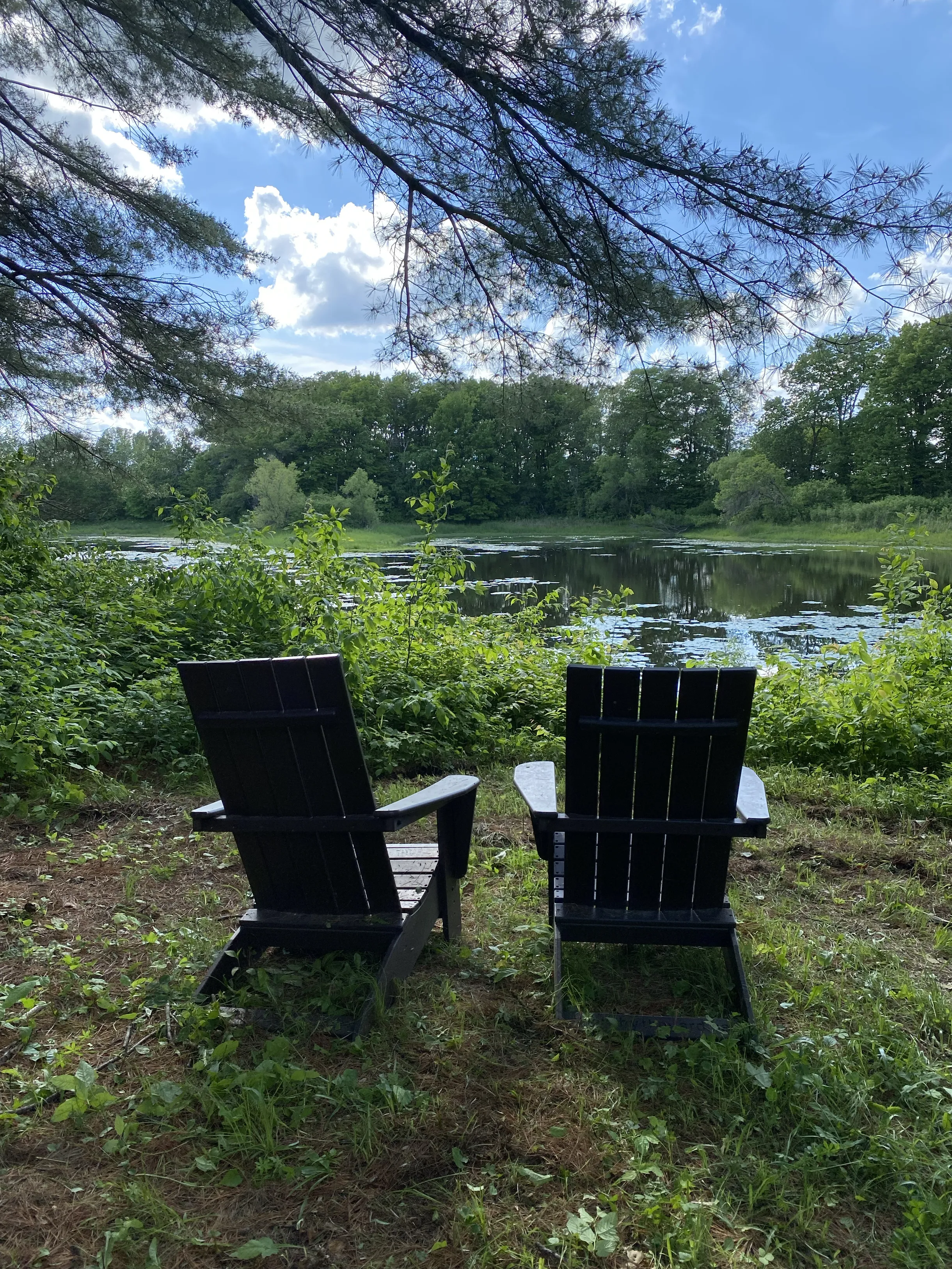 Wander Frederic River #24