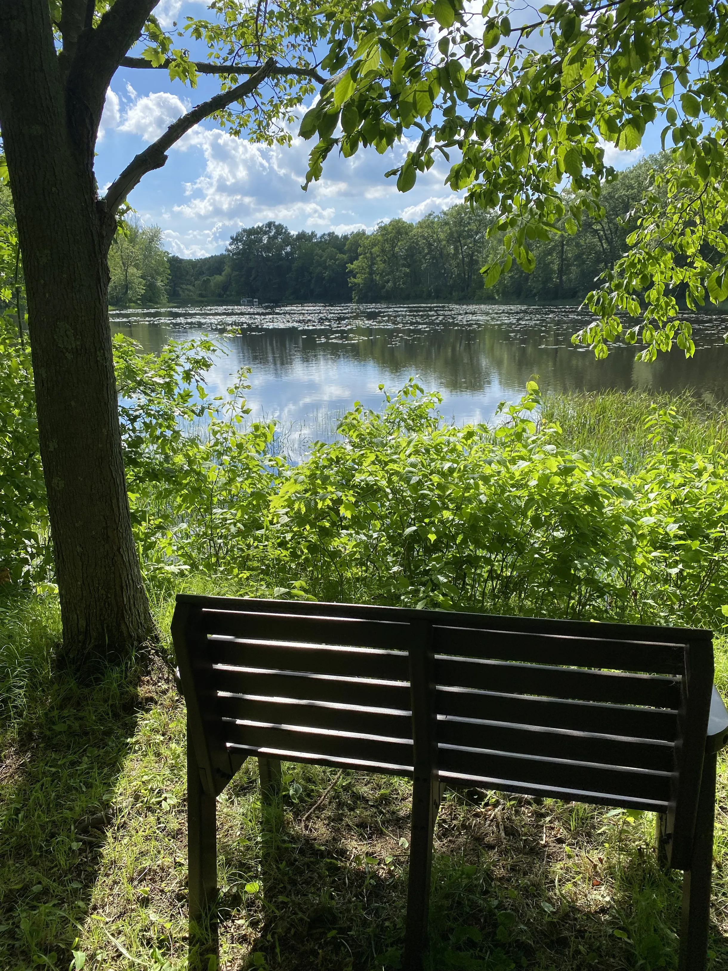 Wander Frederic River #29