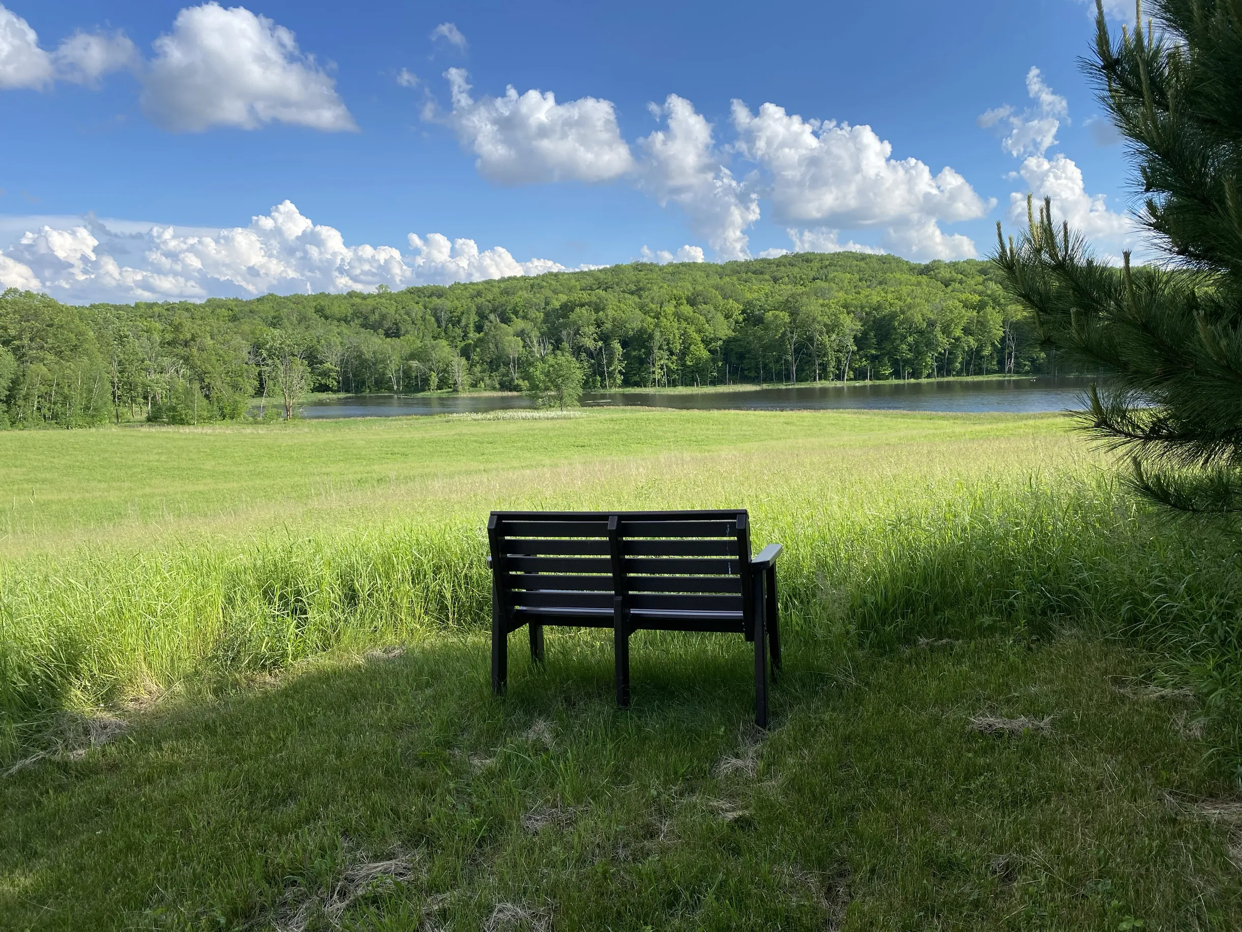 Wander Frederic River #27