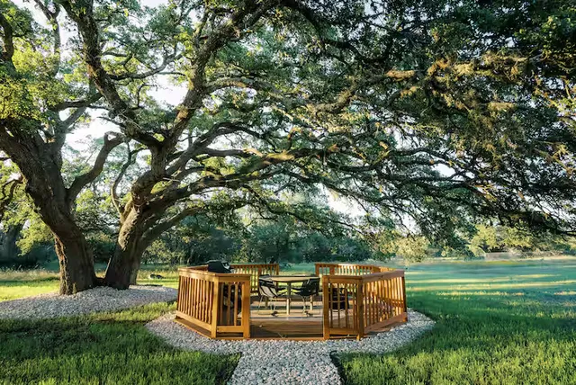 Wander Driftwood Springs #2