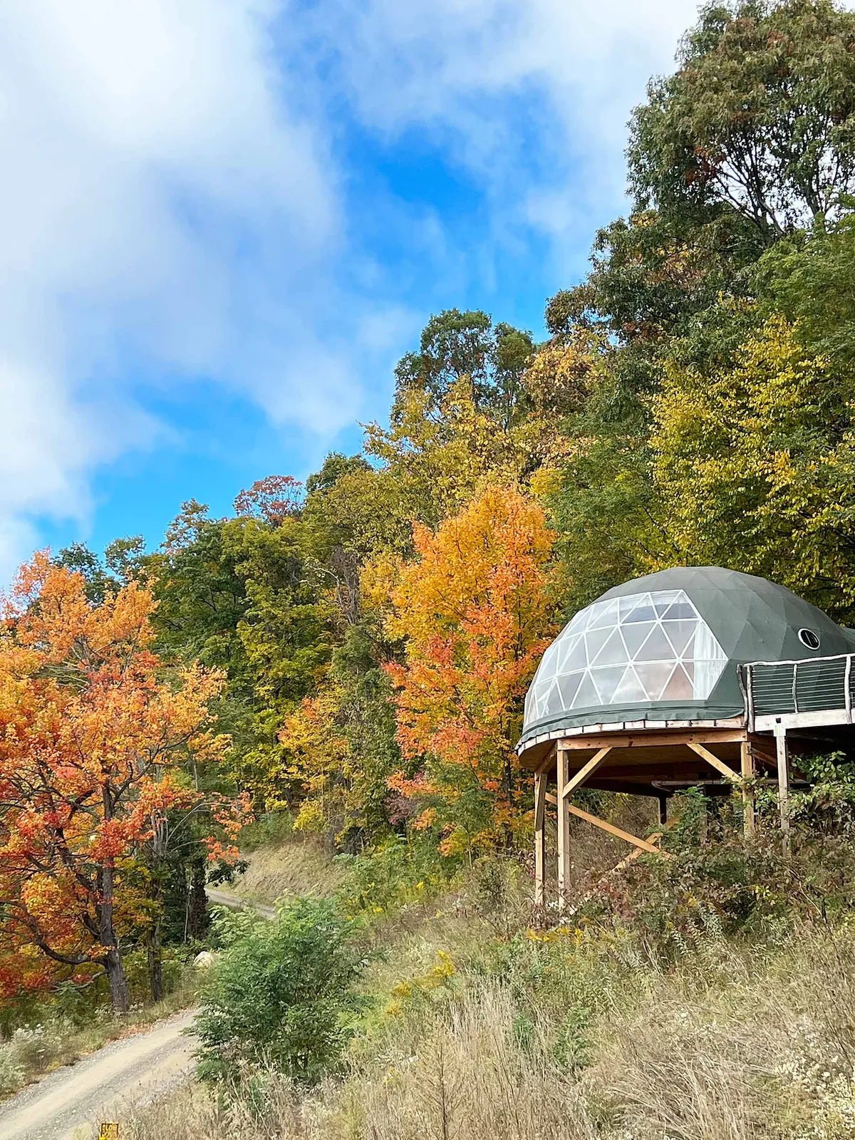 Wander Glass Cabin Unit 2 #2