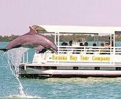 Dolphin Nature Cruise with Banana Bay Tour Company