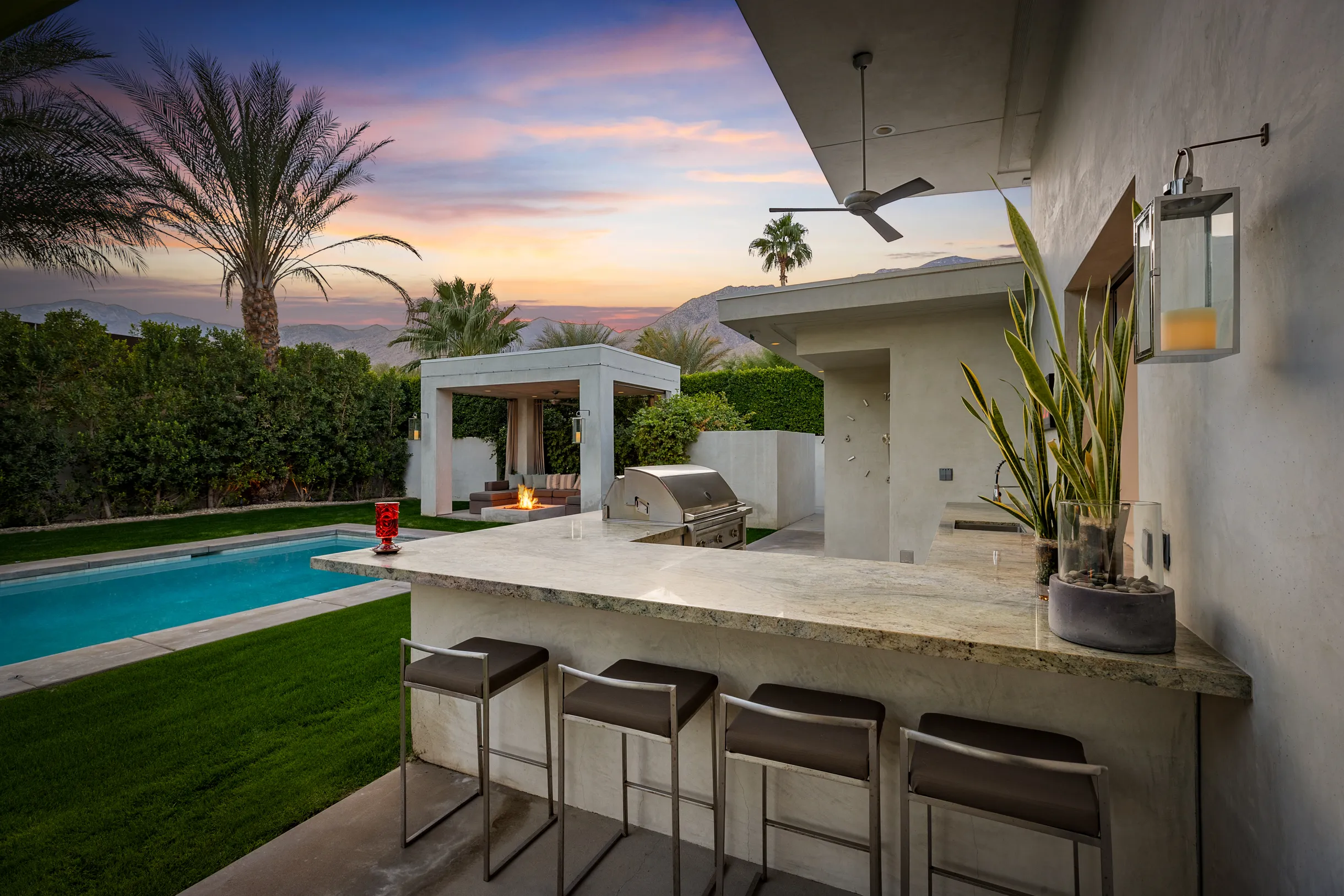 Wander Five Palms #73