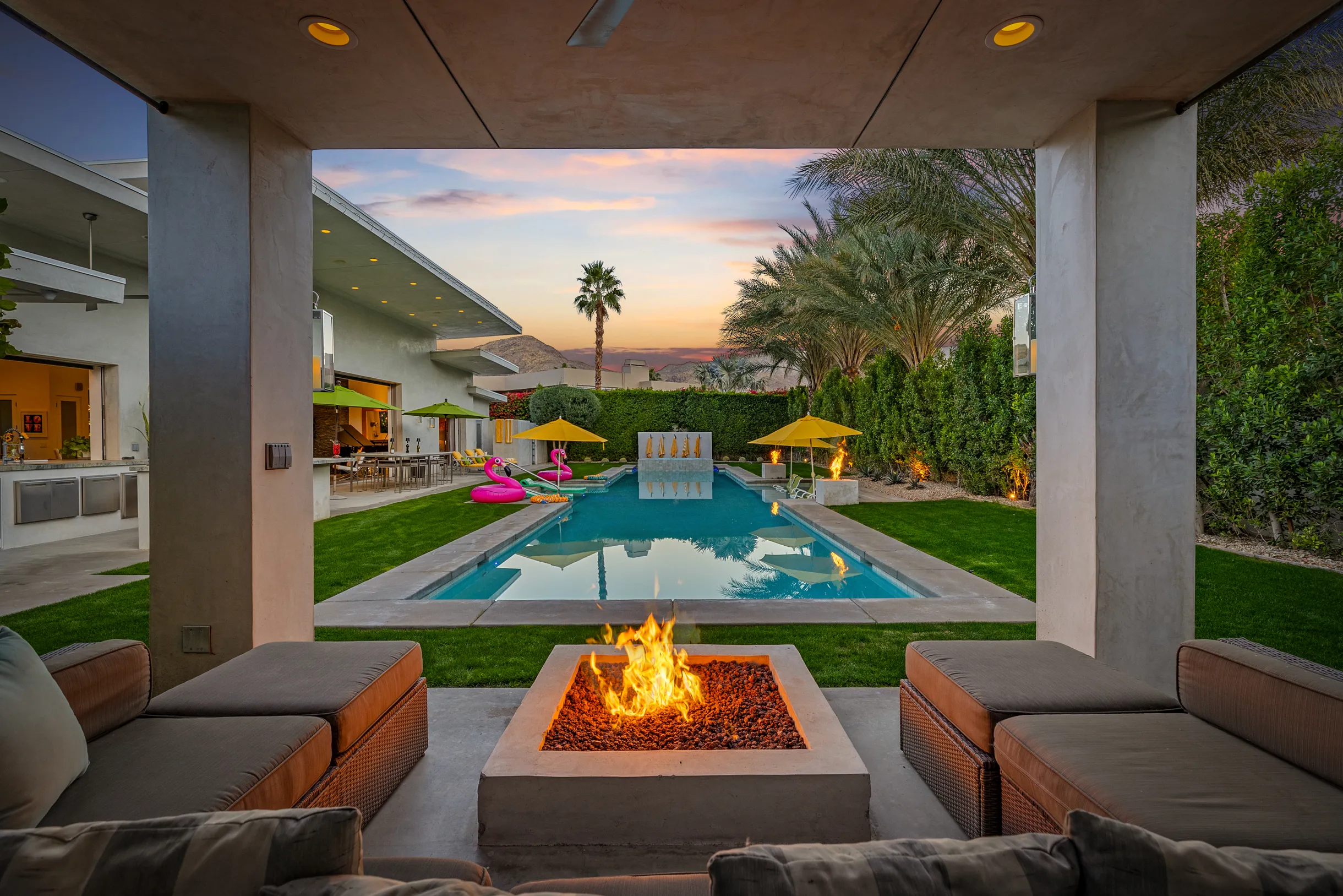 Wander Five Palms #5