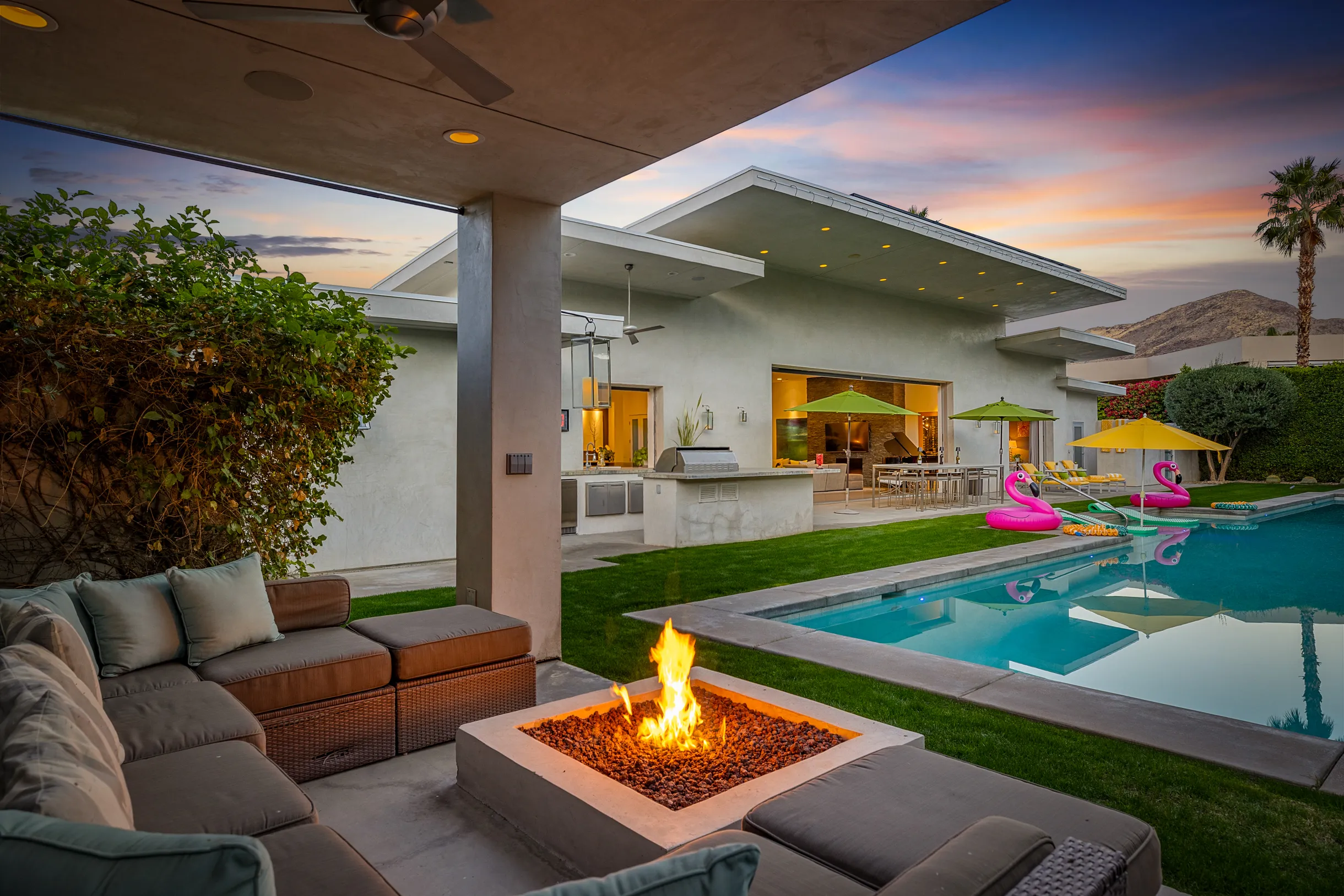 Wander Five Palms #53