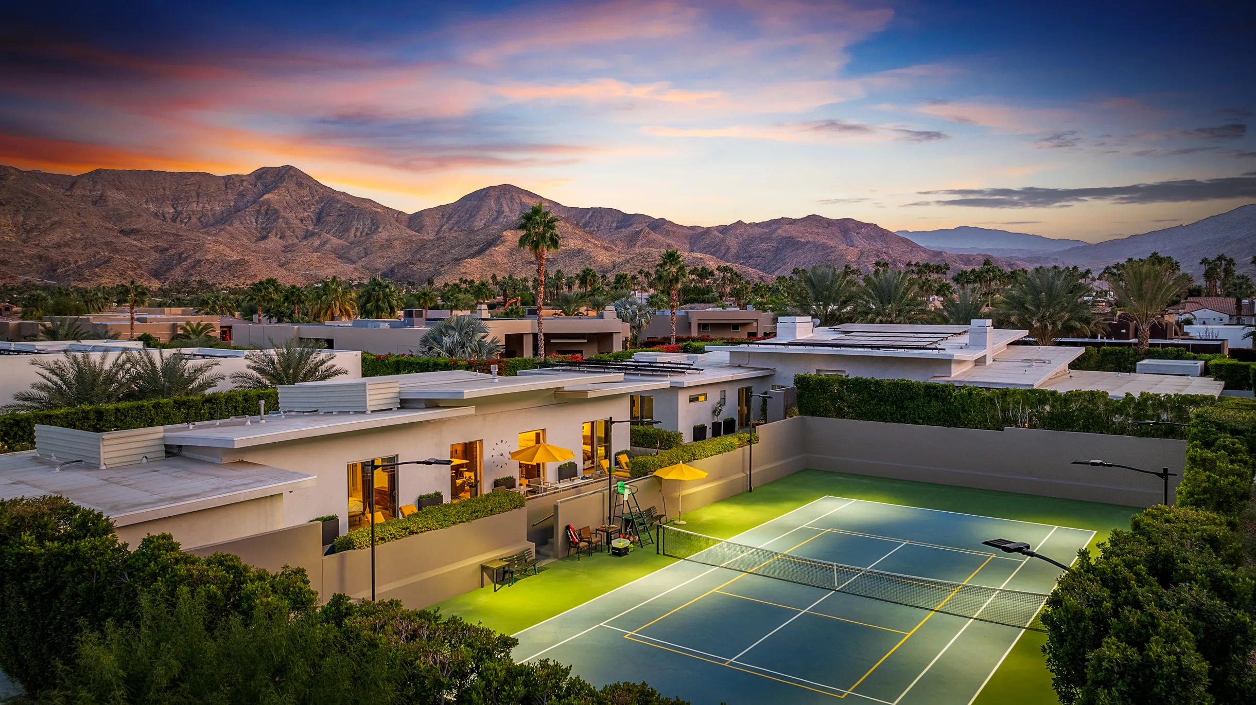 Wander Five Palms #75