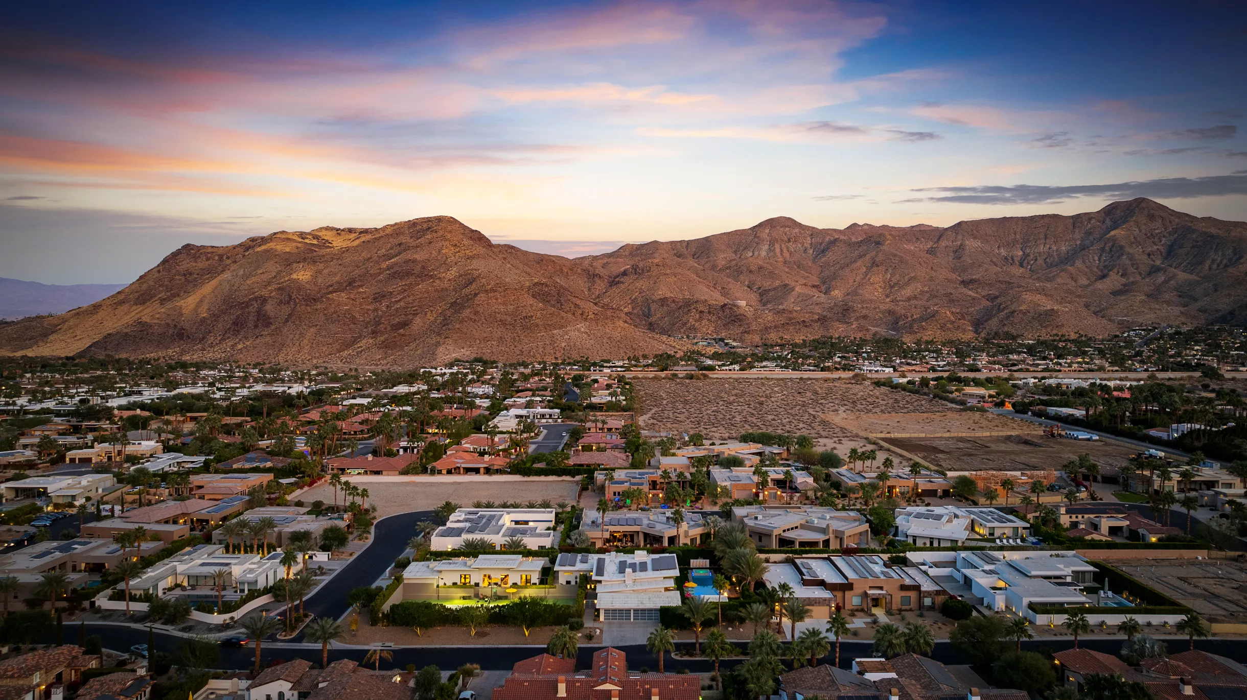 Wander Five Palms #54