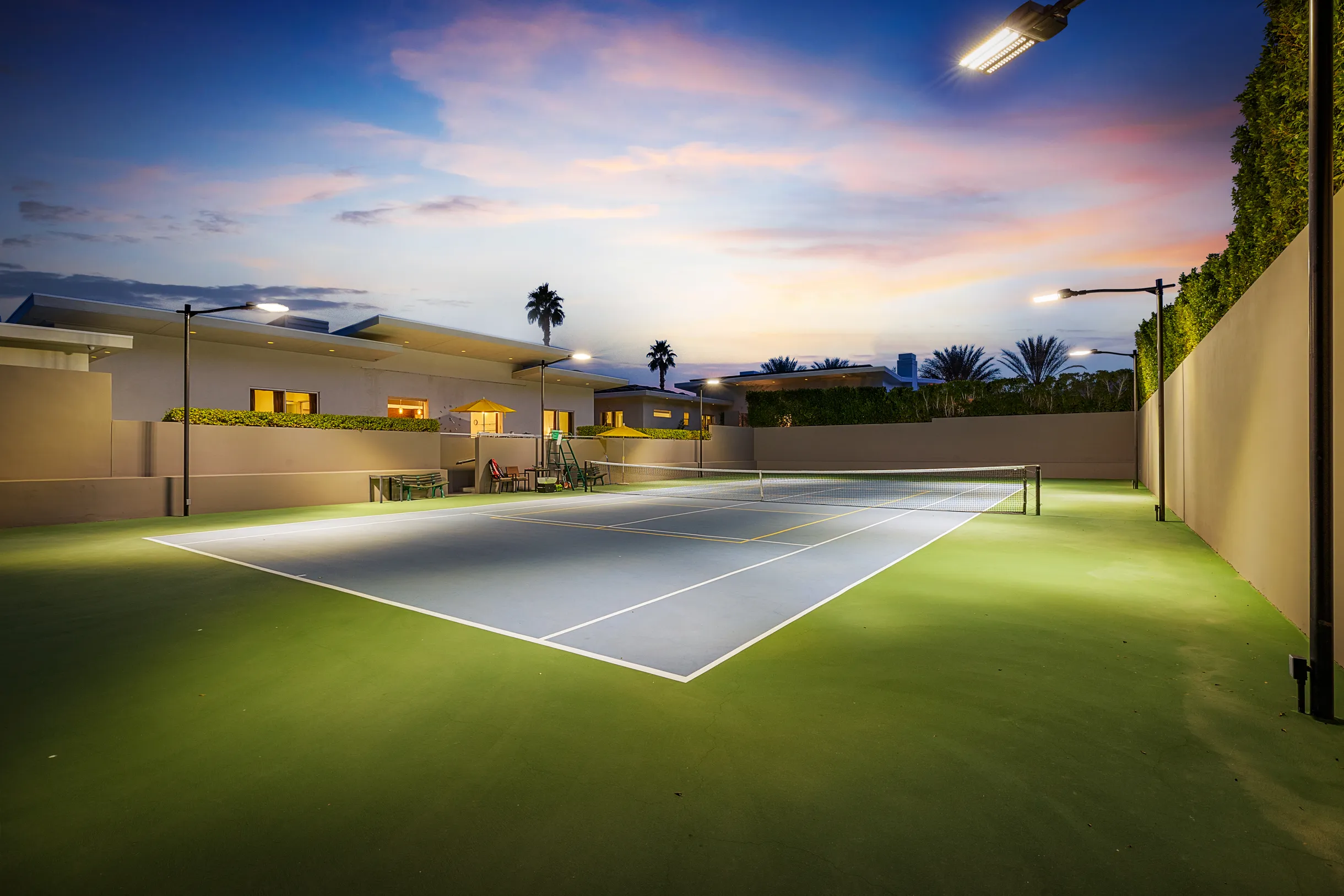 Wander Five Palms #31