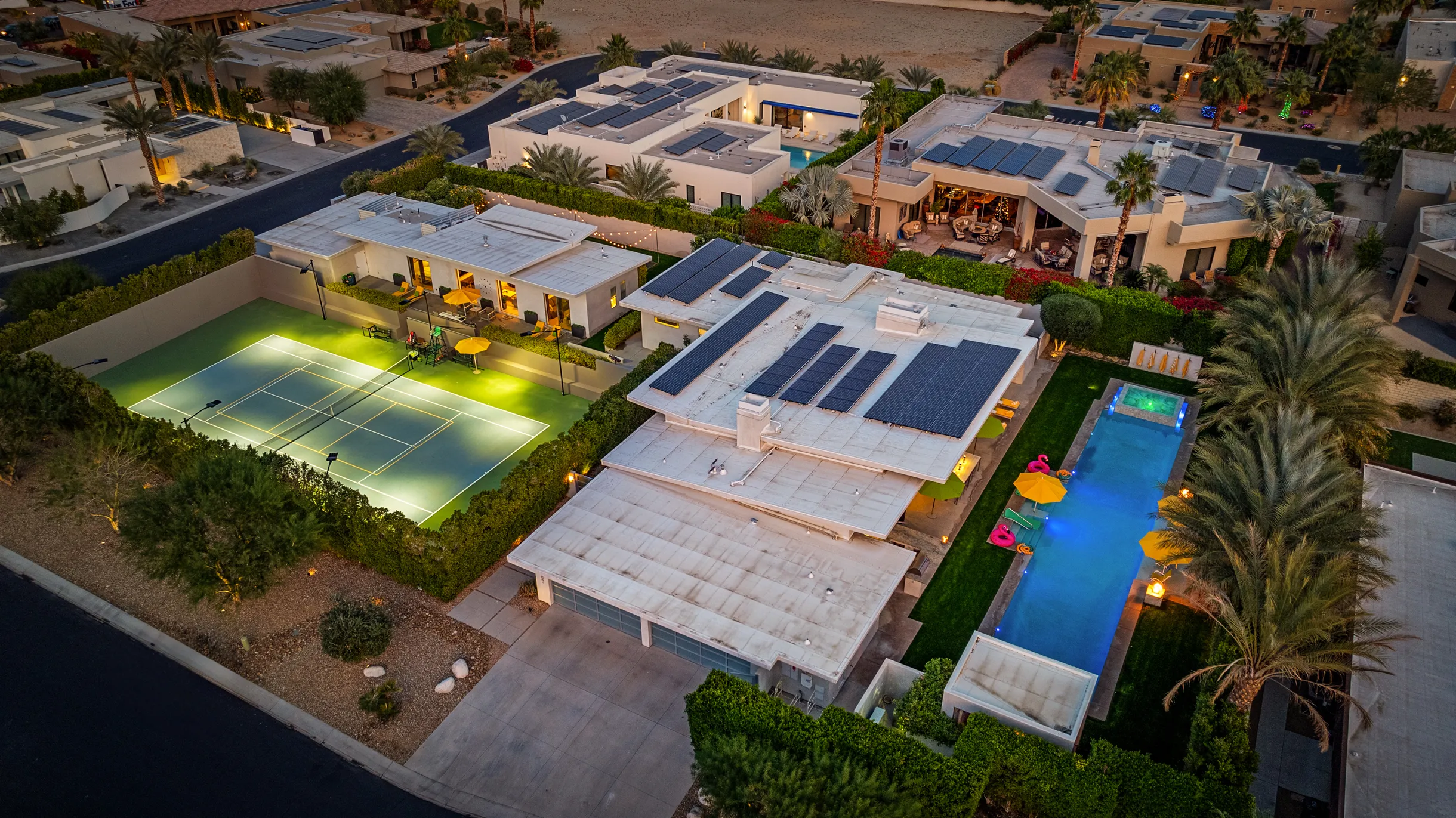 Wander Five Palms #4