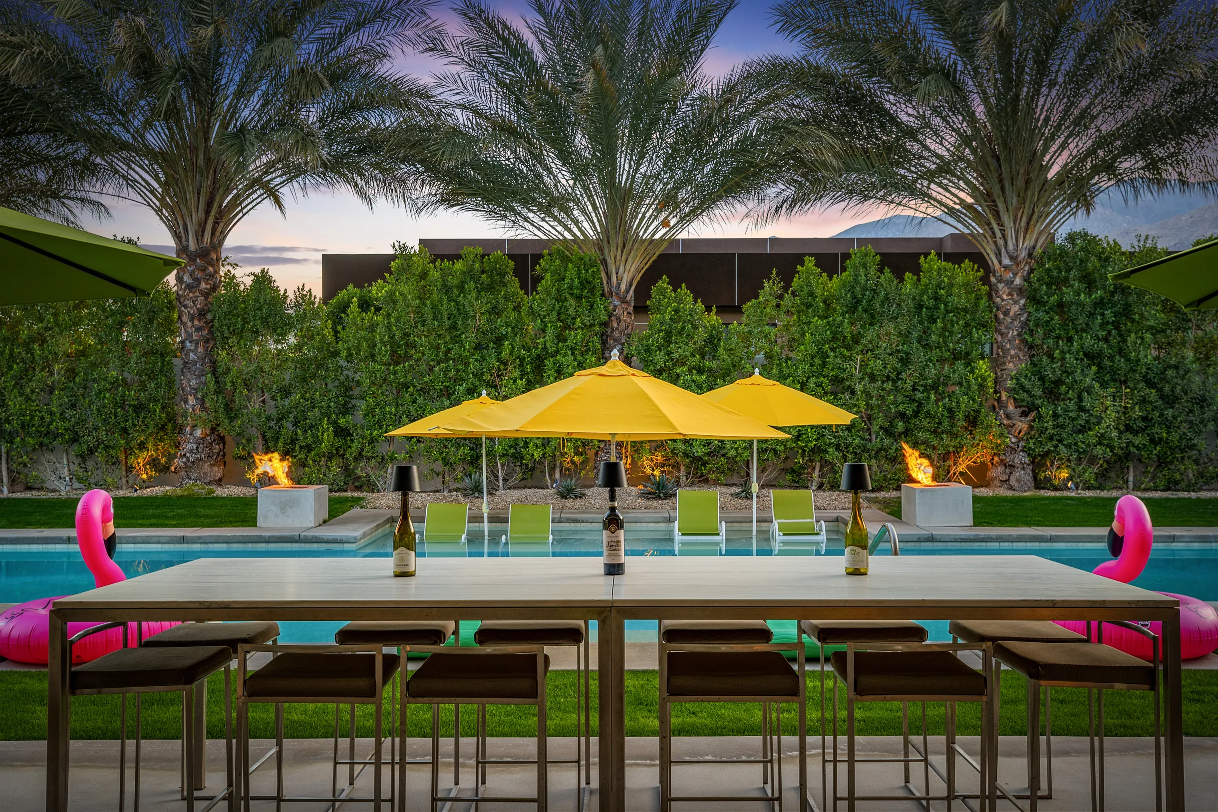 Wander Five Palms #32