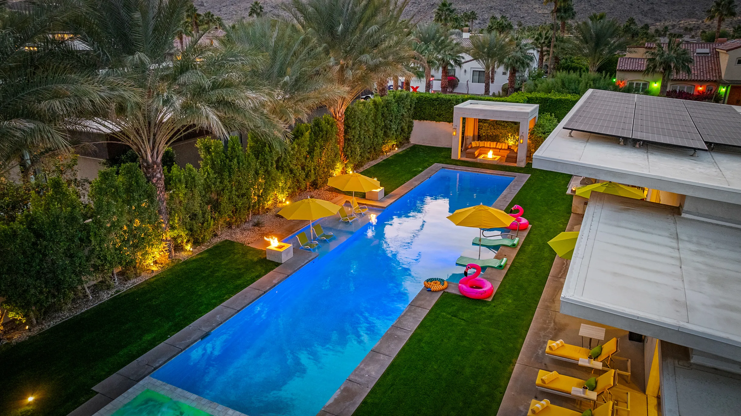 Wander Five Palms #7