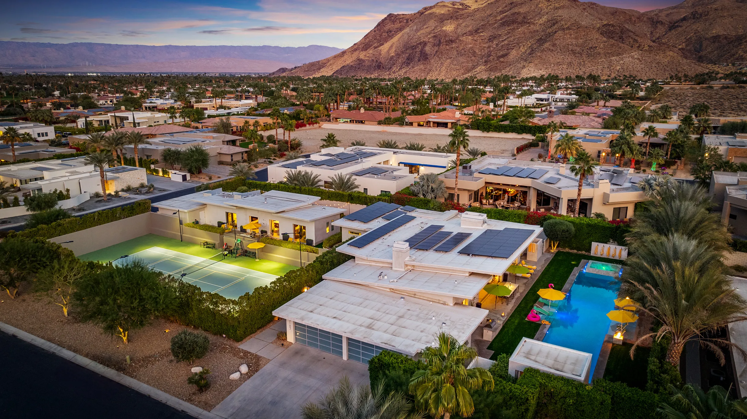 Wander Five Palms #5