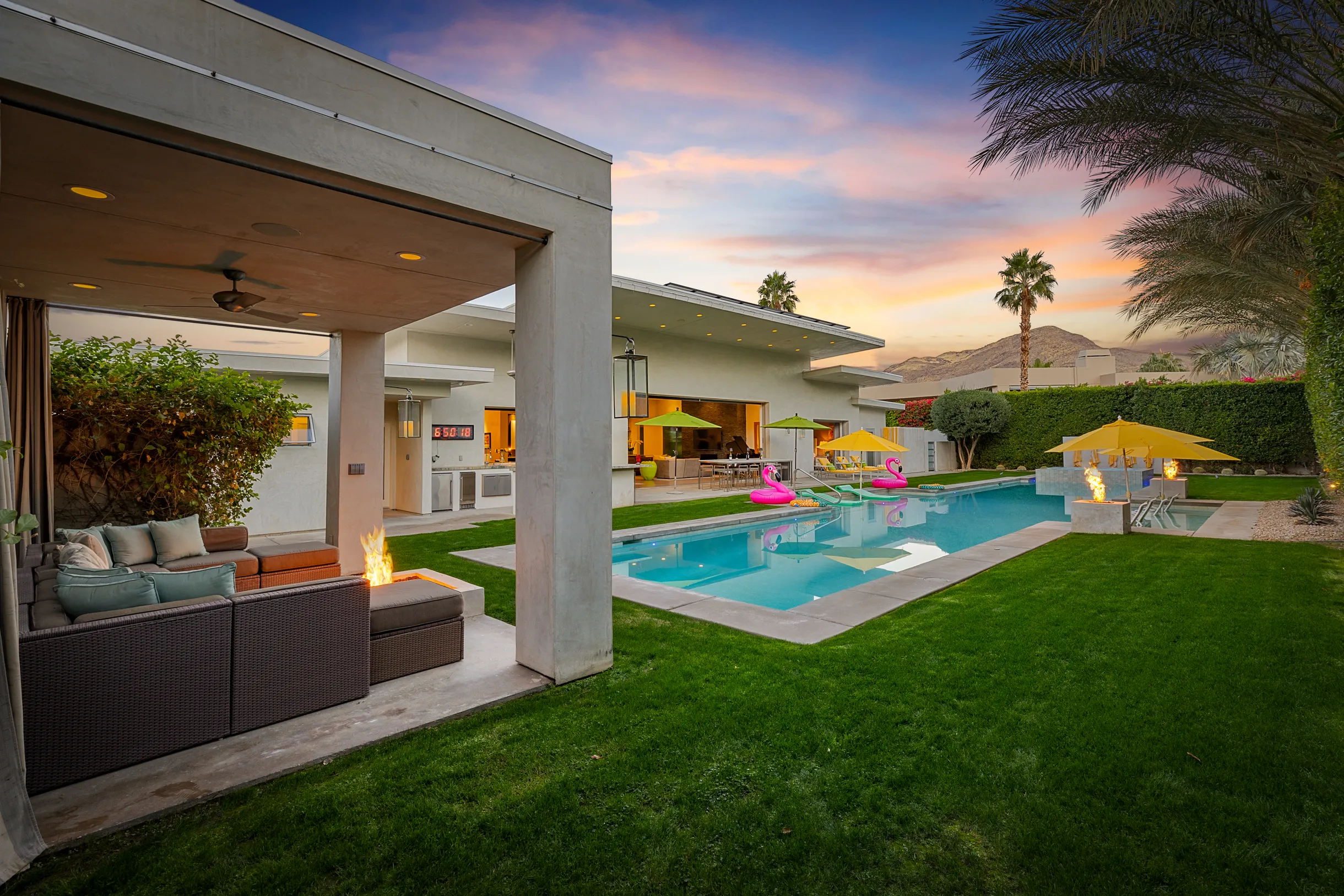 Wander Five Palms #89