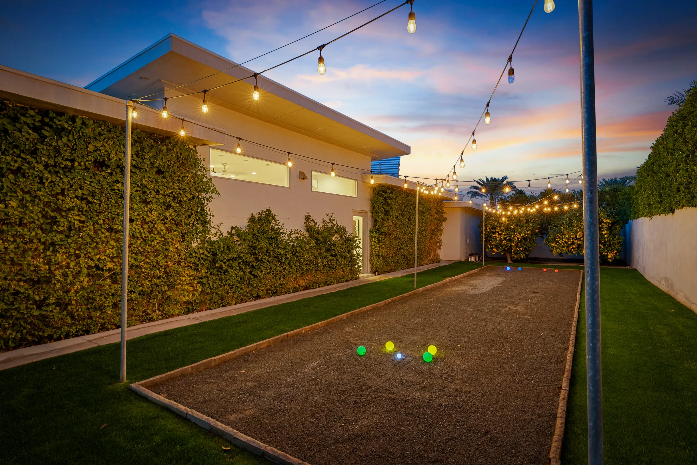 Wander Five Palms #56