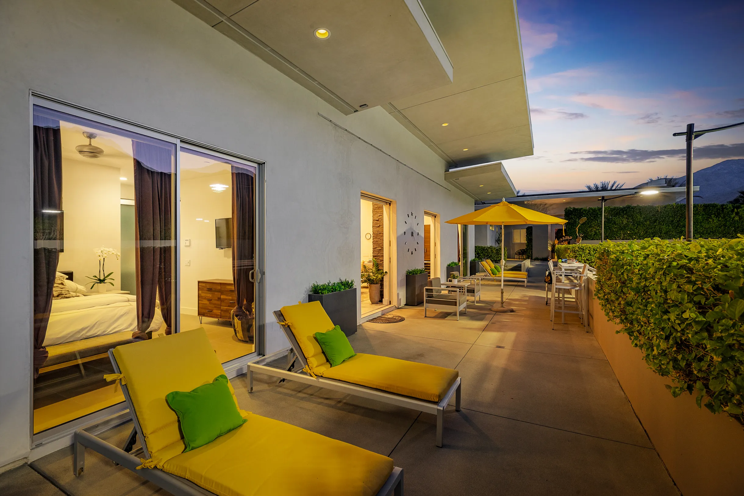 Wander Five Palms #100