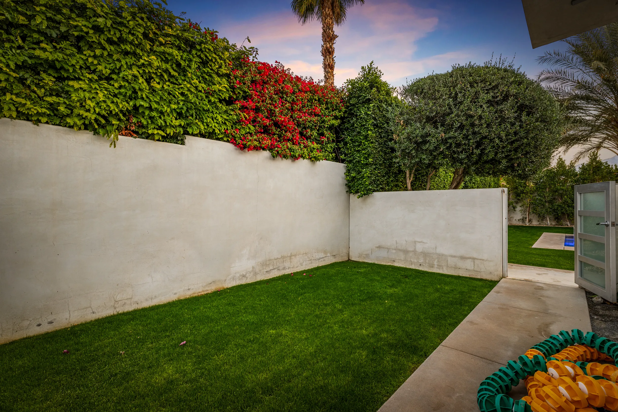 Wander Five Palms #76