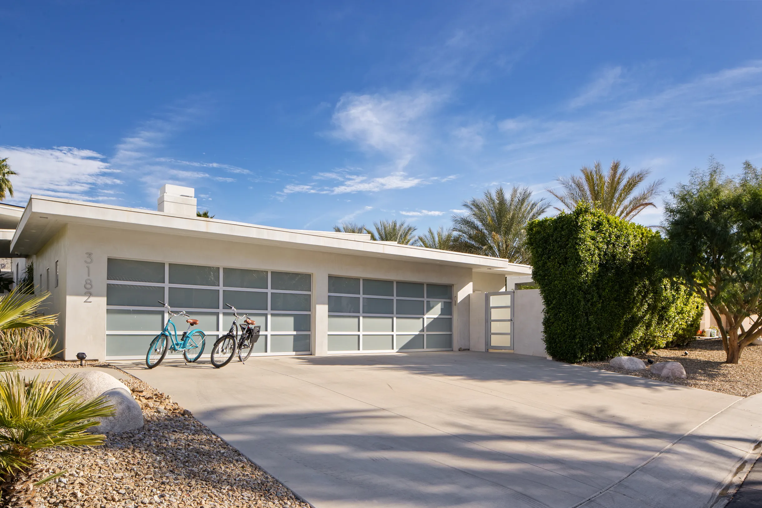 Wander Five Palms #91