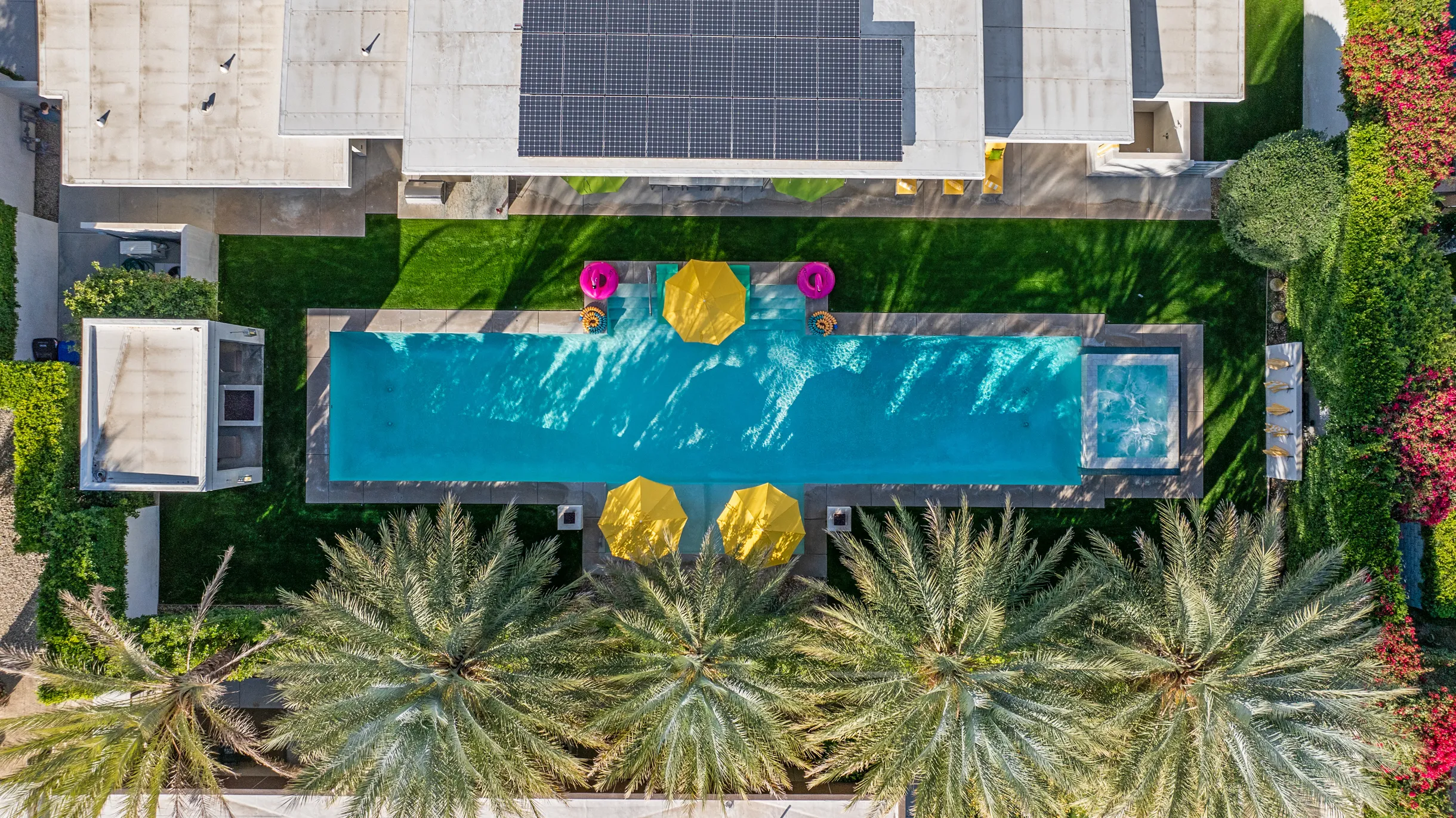 Wander Five Palms #92