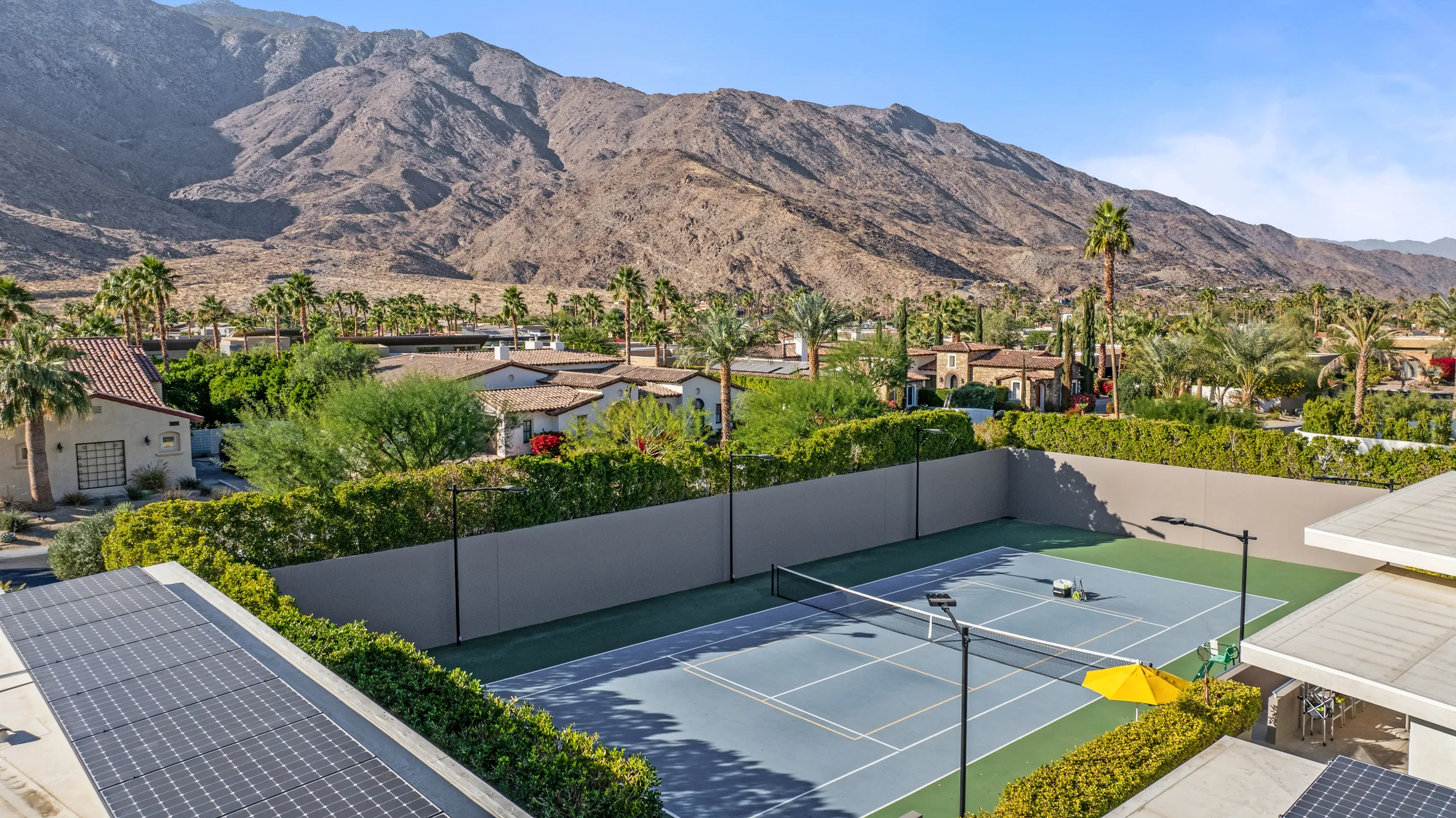 Wander Five Palms #99