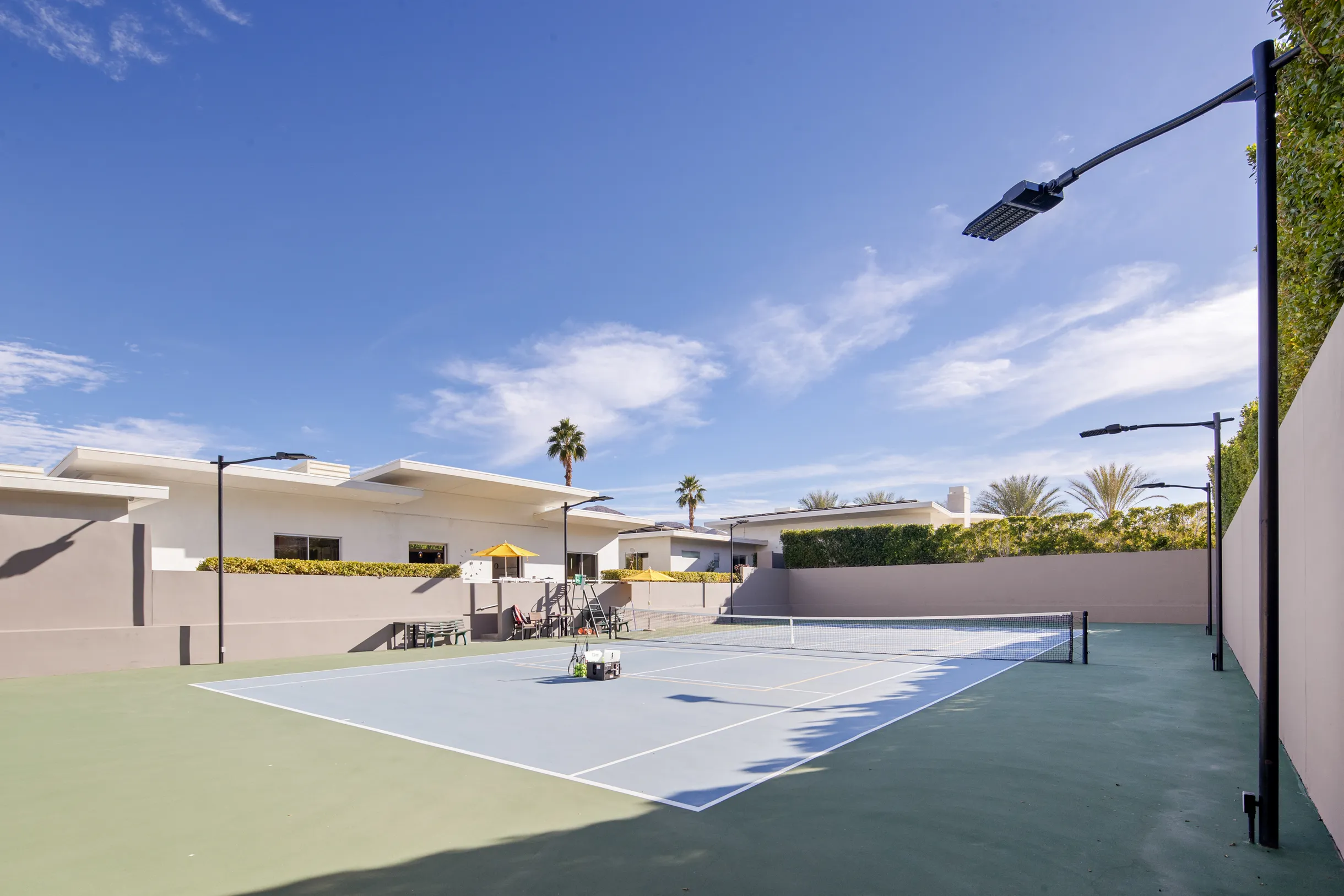 Wander Five Palms #105