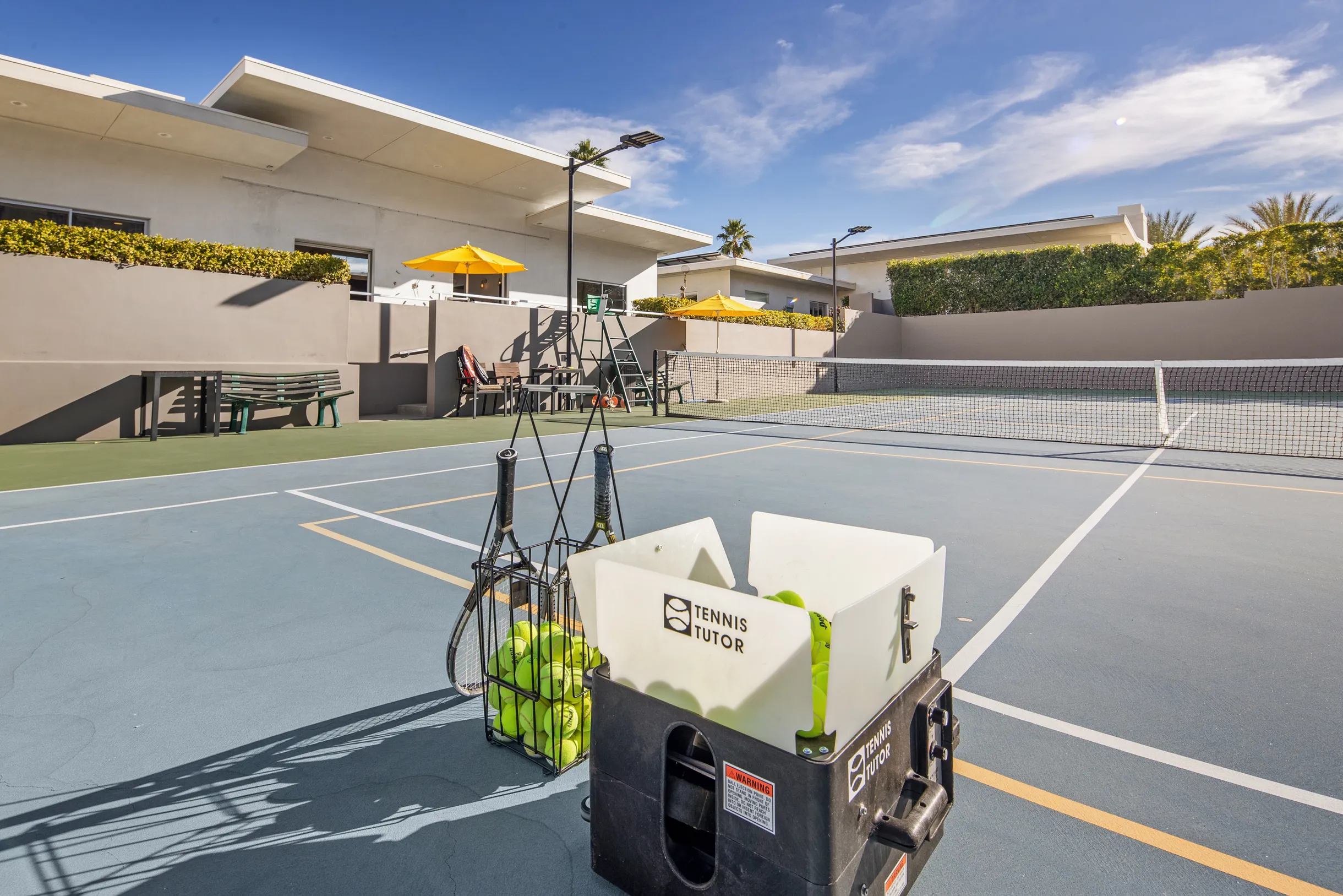 Wander Five Palms #114