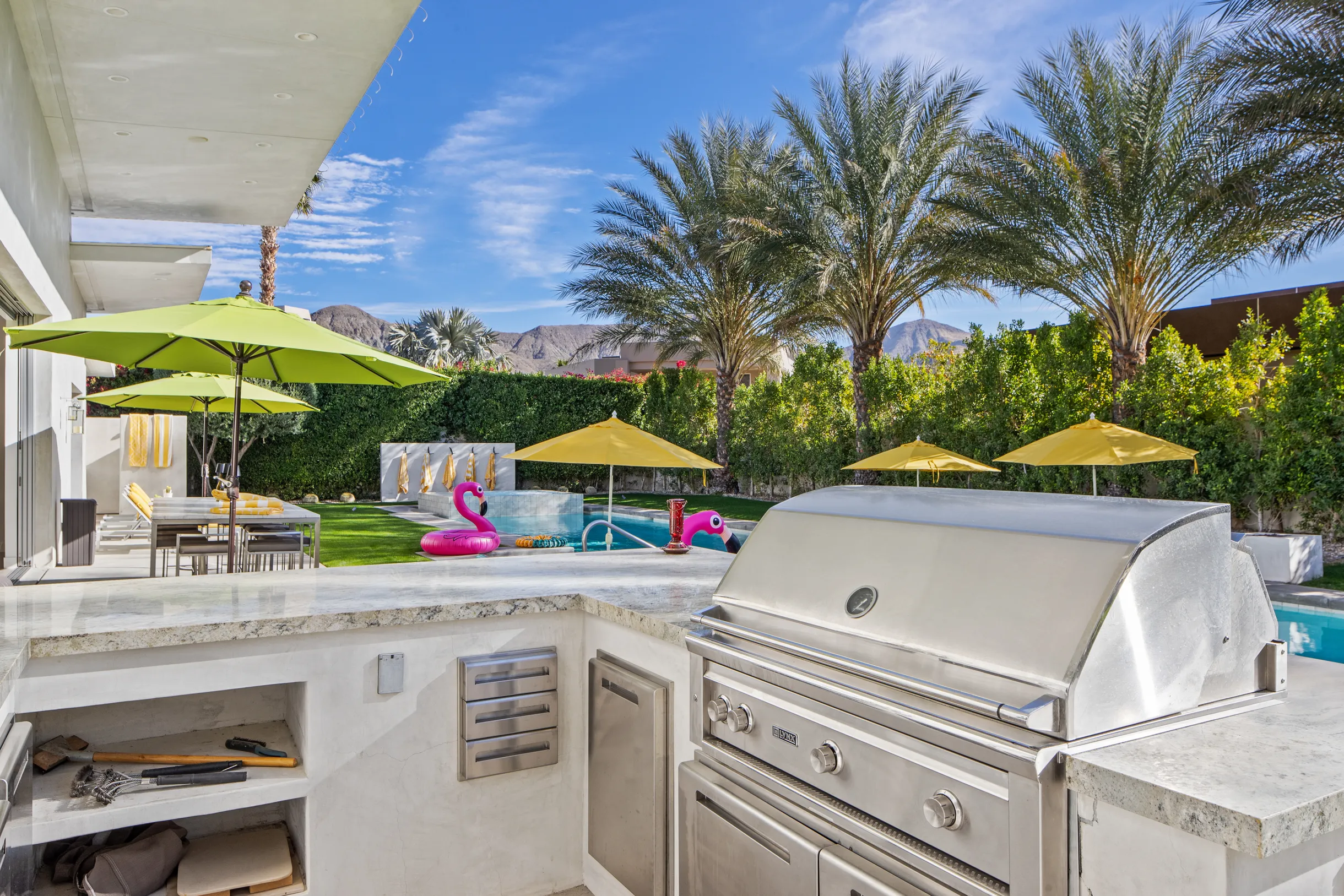 Wander Five Palms #100