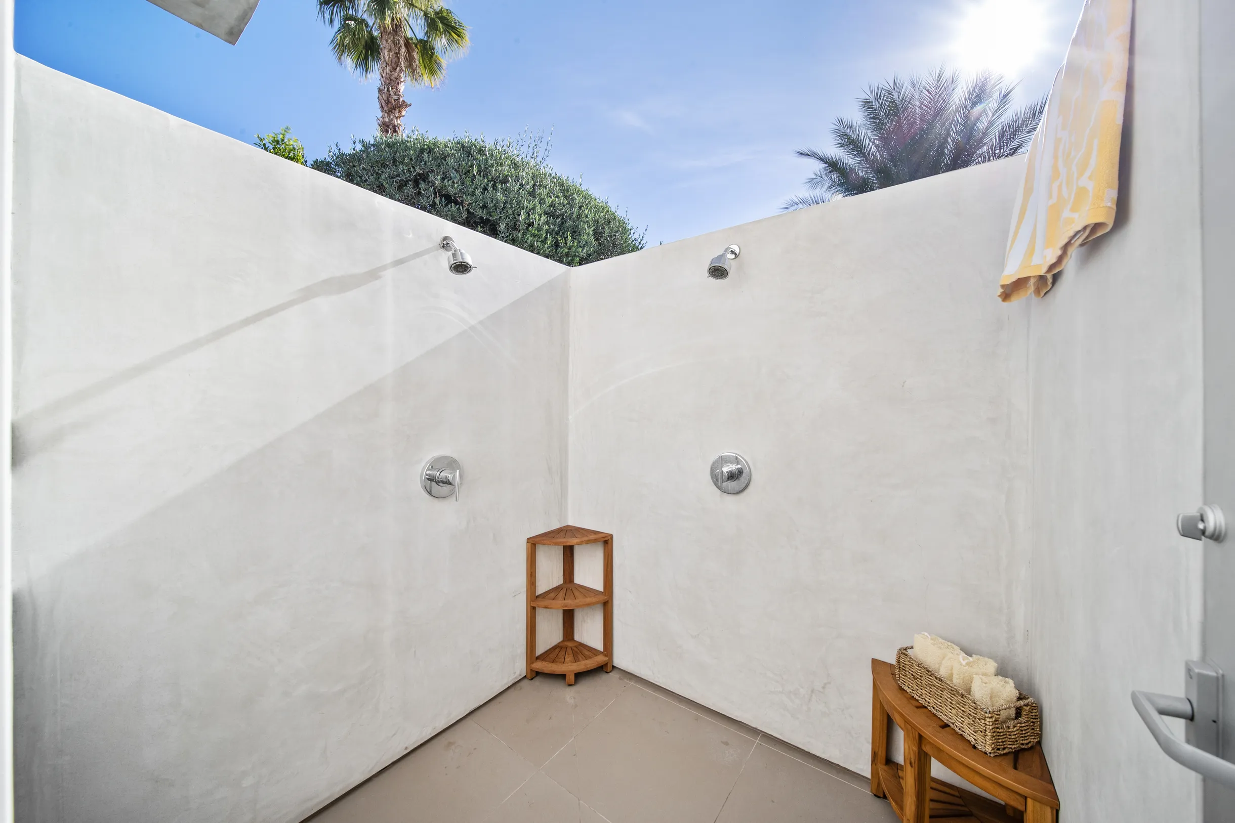 Wander Five Palms #109