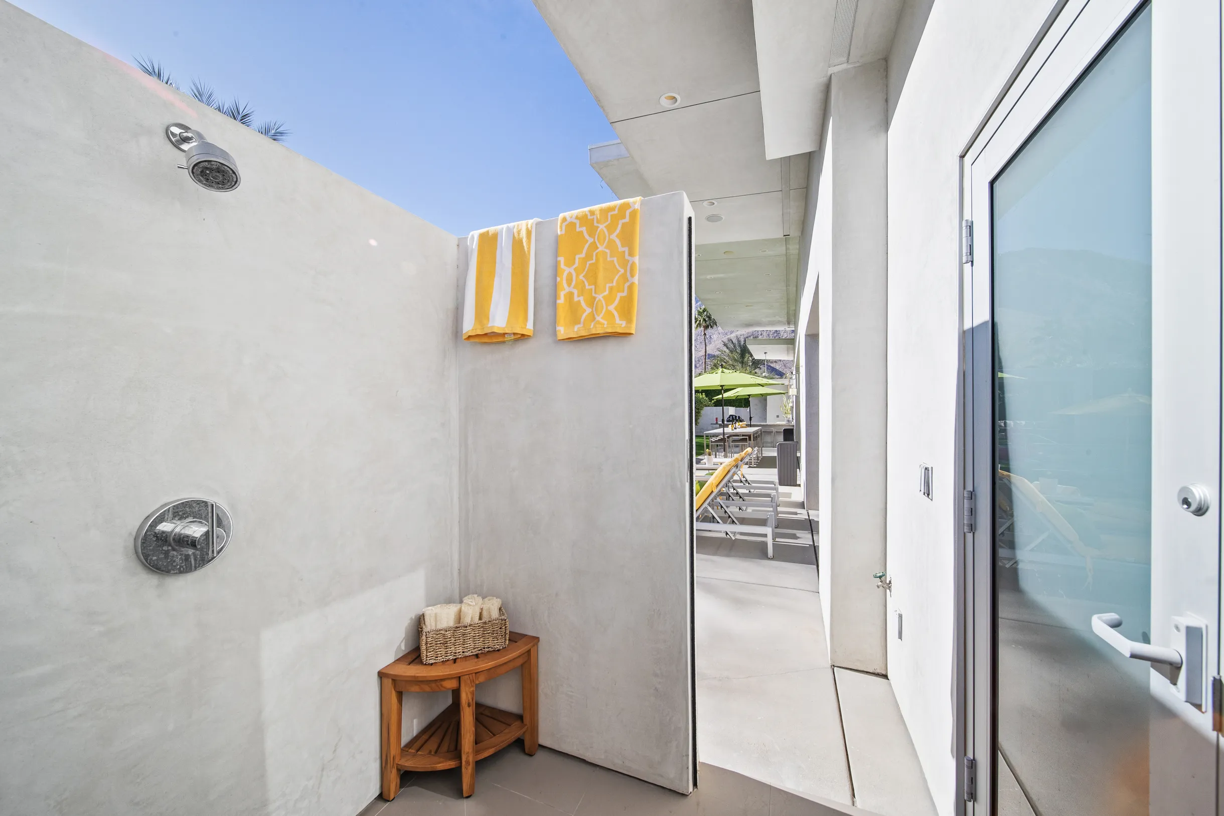 Wander Five Palms #113