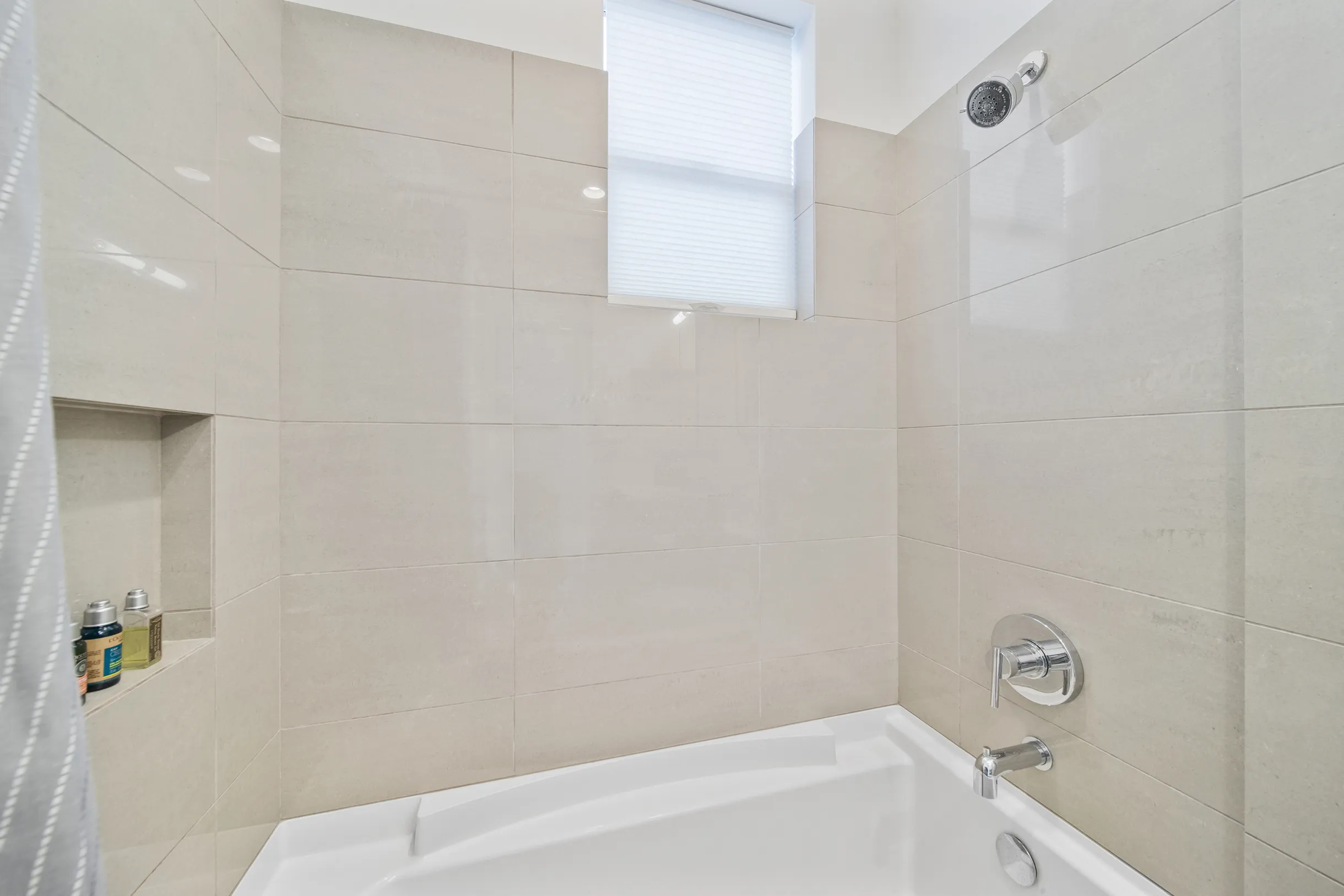 Wander Five Palms #41