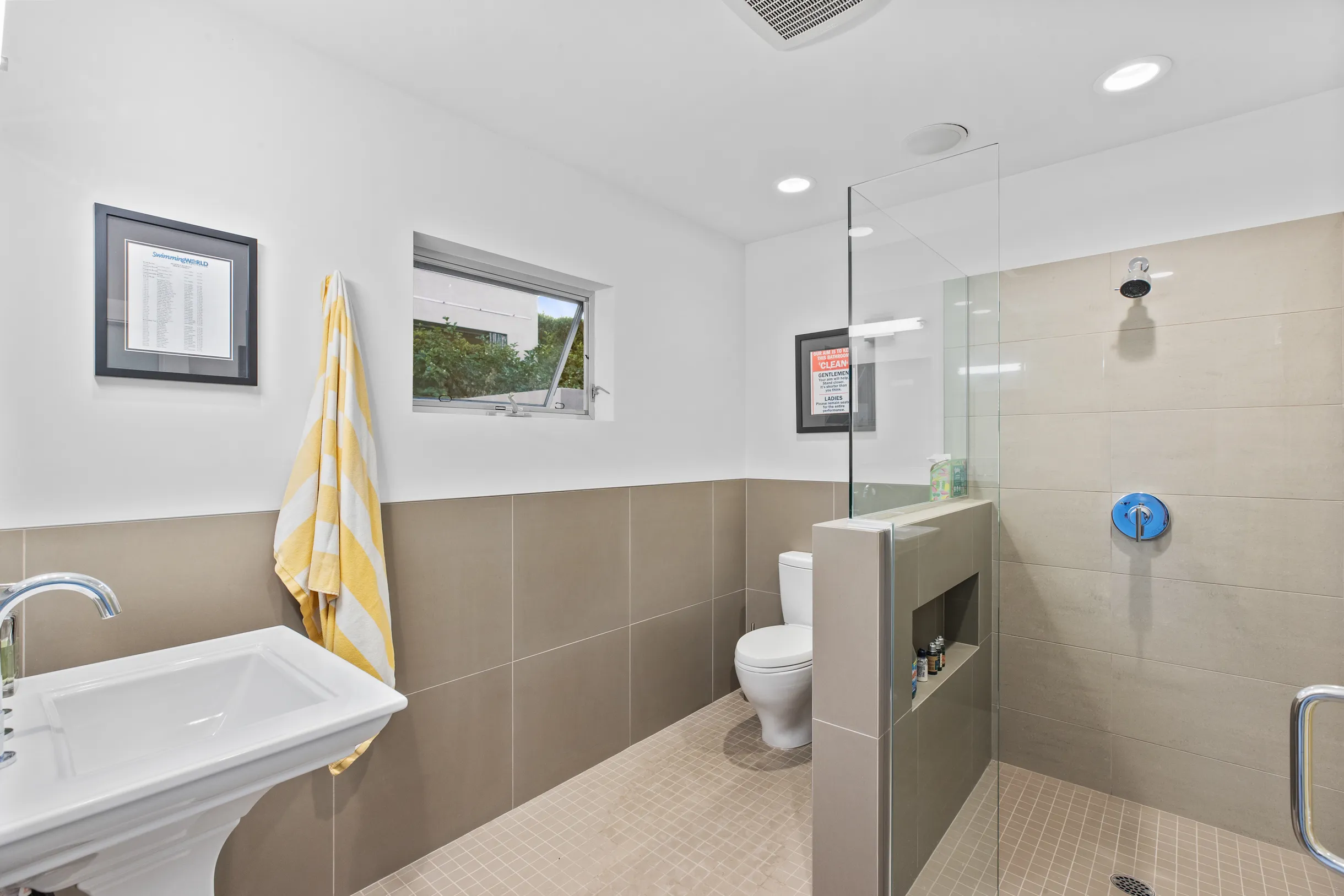 Wander Five Palms #24