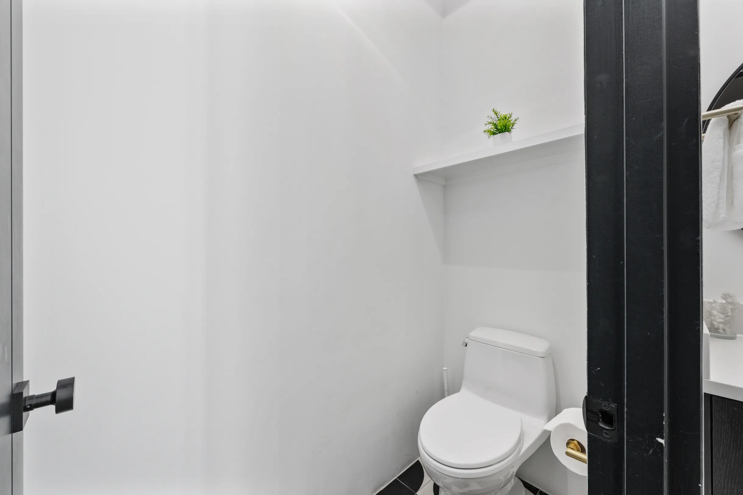 Wander Austin Oasis #47