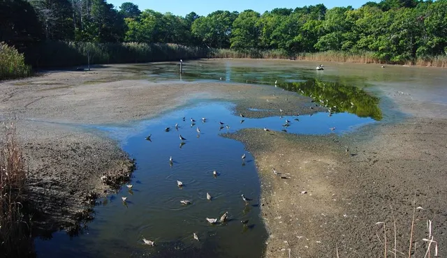 Wellfleet Bay Wildlife Sanctuary