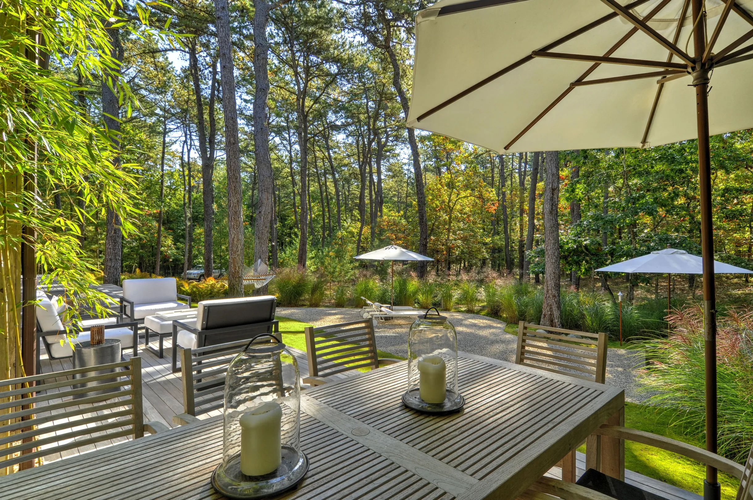 Wander East Hampton Woods #13