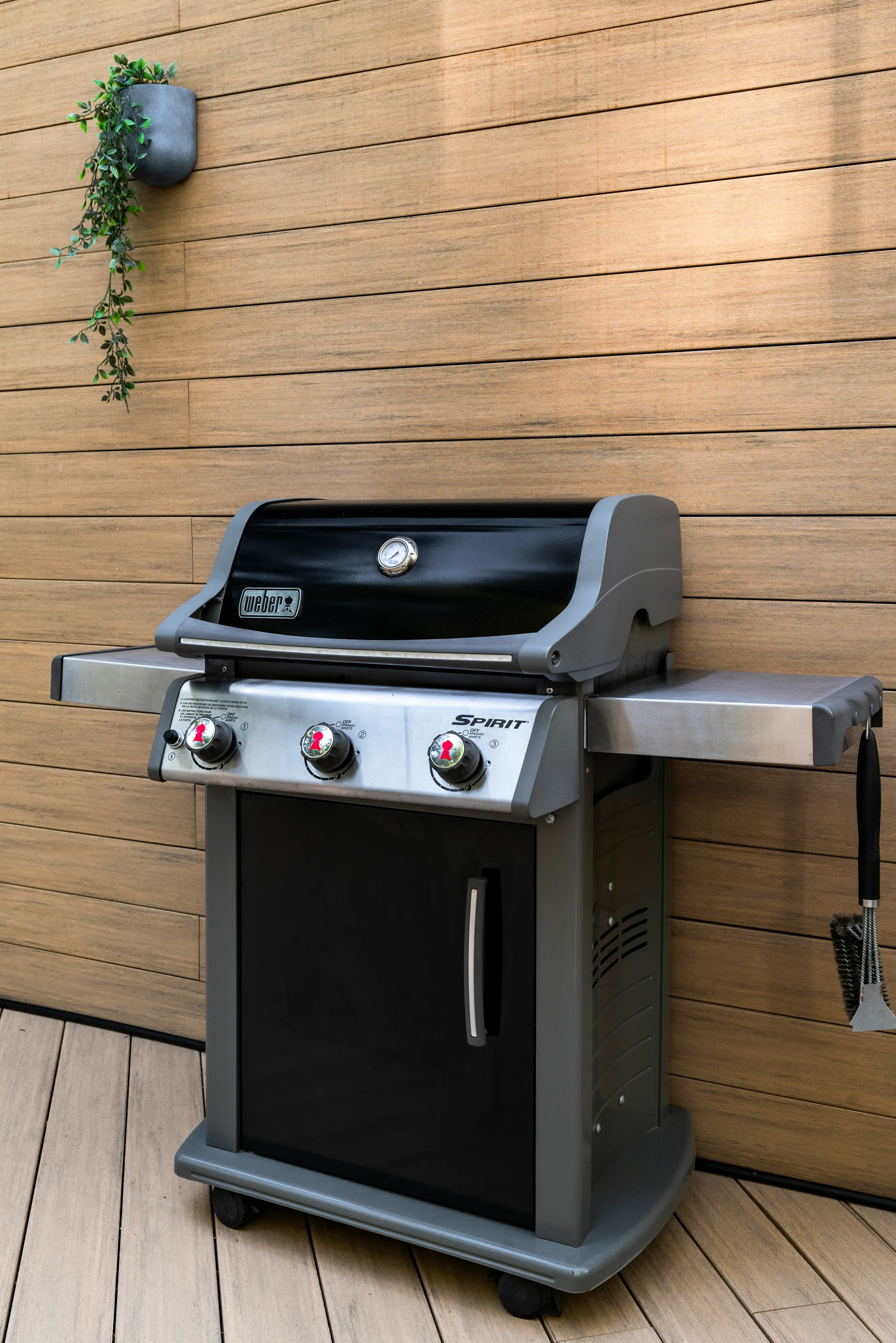 Wander Laurel Canyon #74