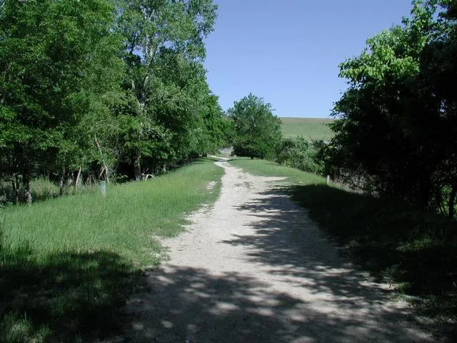 Aba Austin