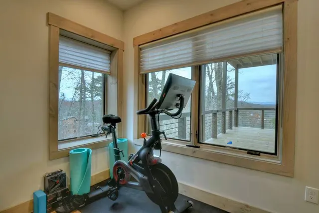 Wander Georgia Bears #29