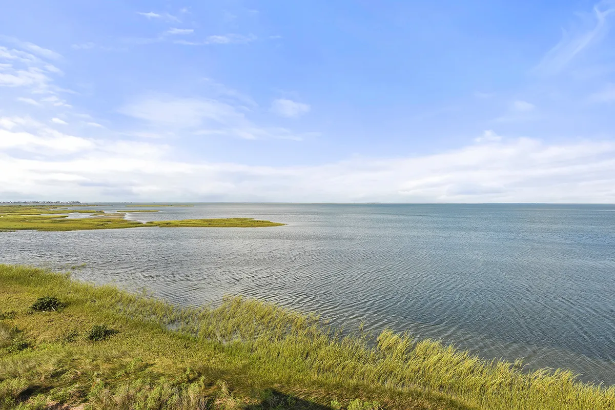 Wander Galveston Primrose #4