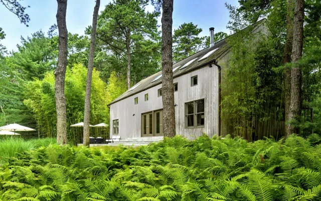 Wander East Hampton Woods #5
