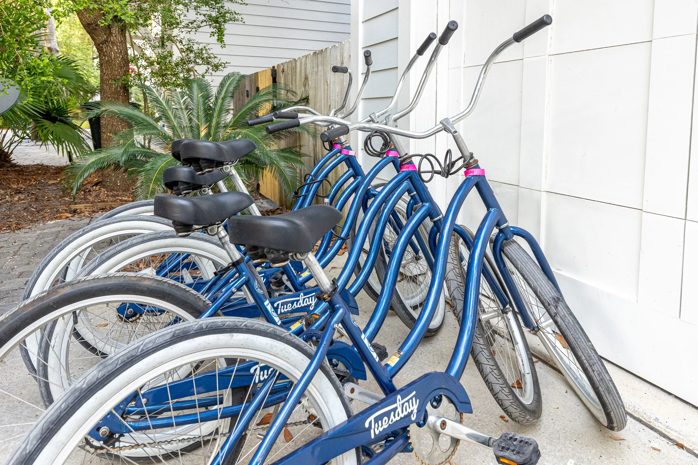 Wander Santa Rosa Beach Pines #57