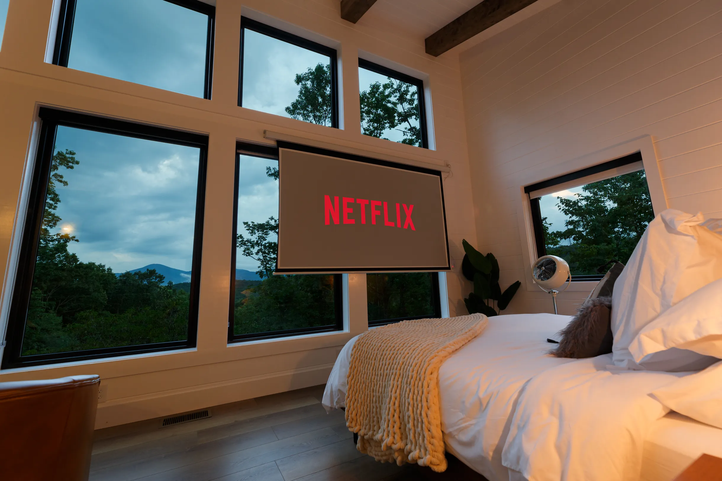 Wander Dahlonega Ash #28