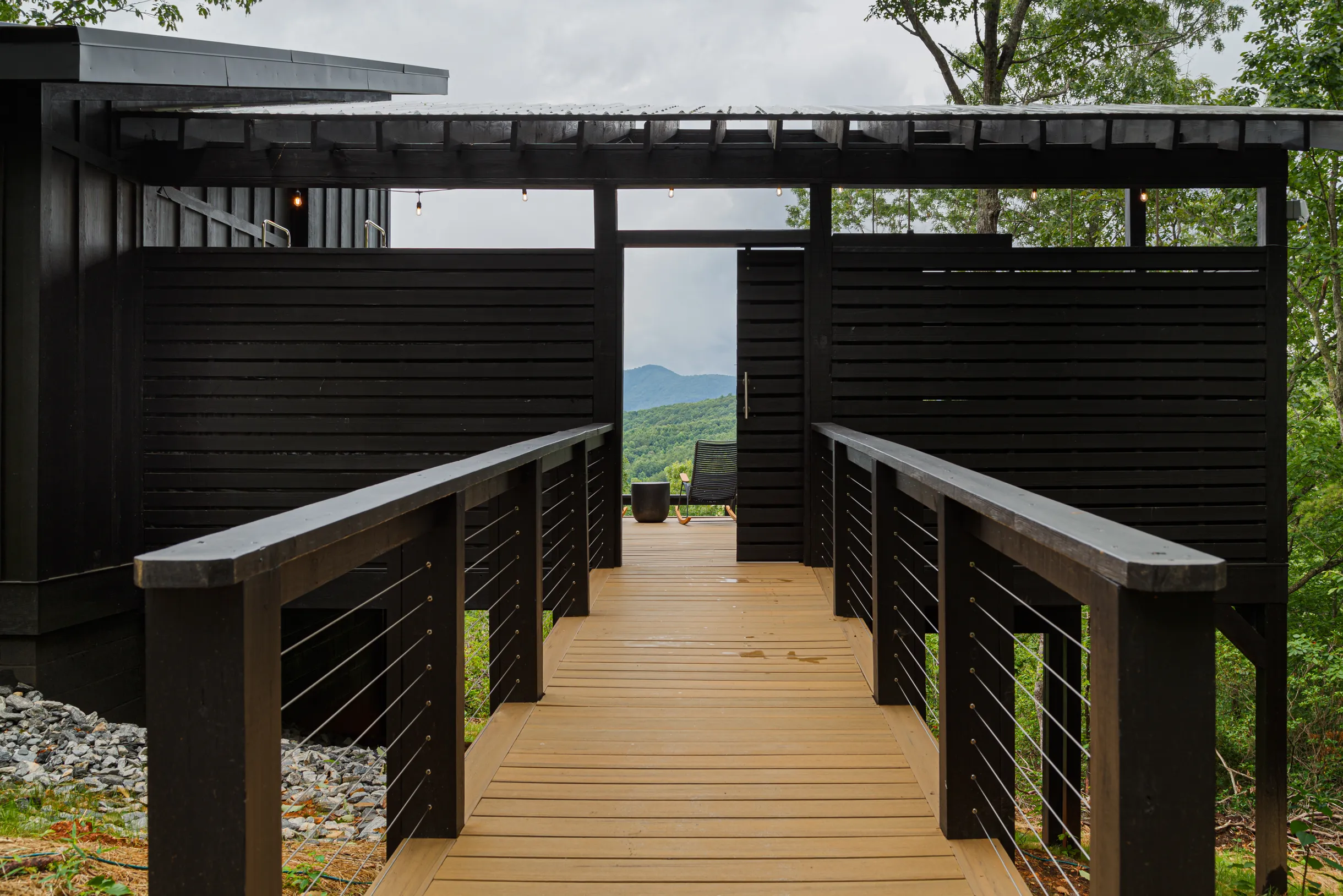 Wander Dahlonega Sourwood #24