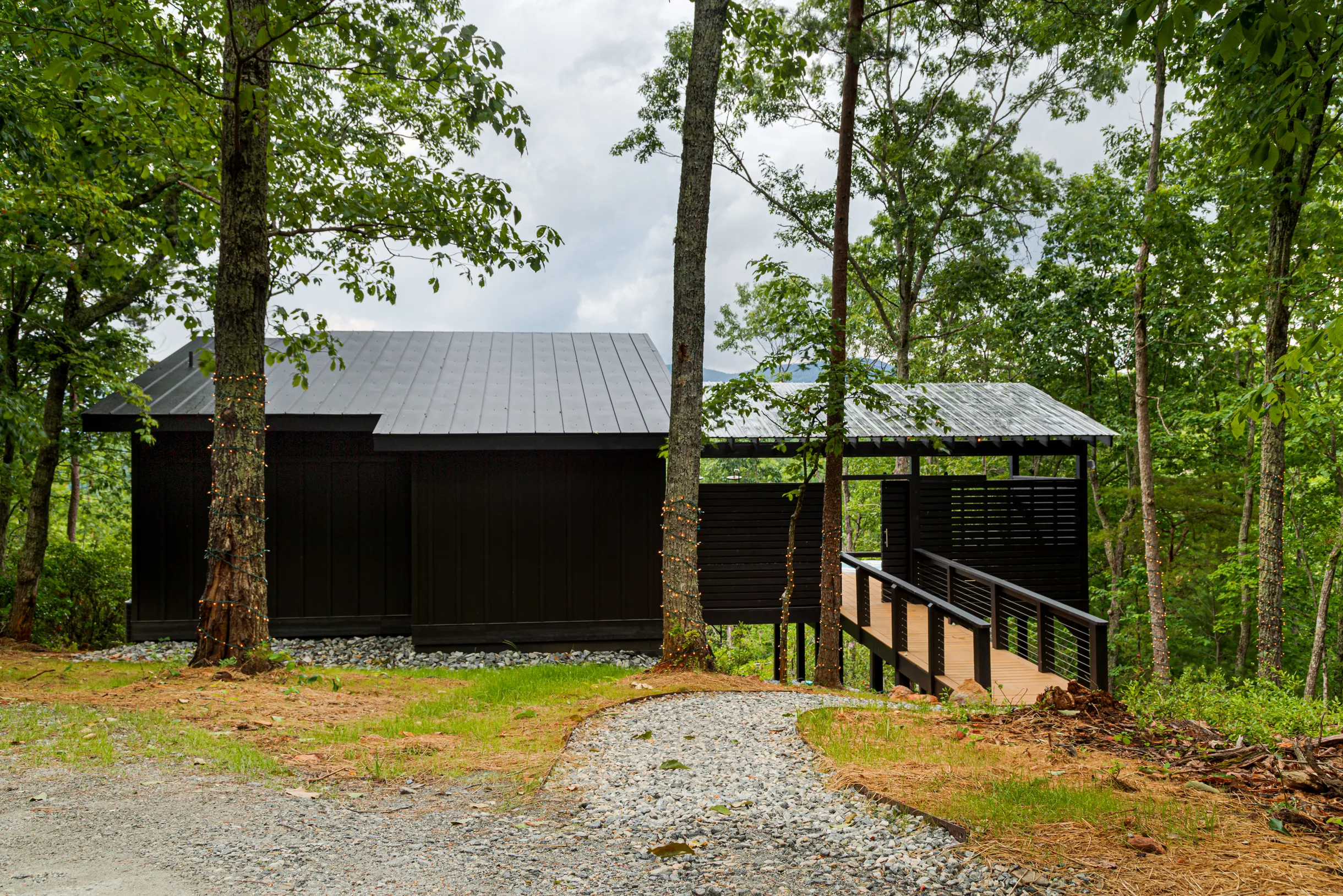 Wander Dahlonega Sourwood #20