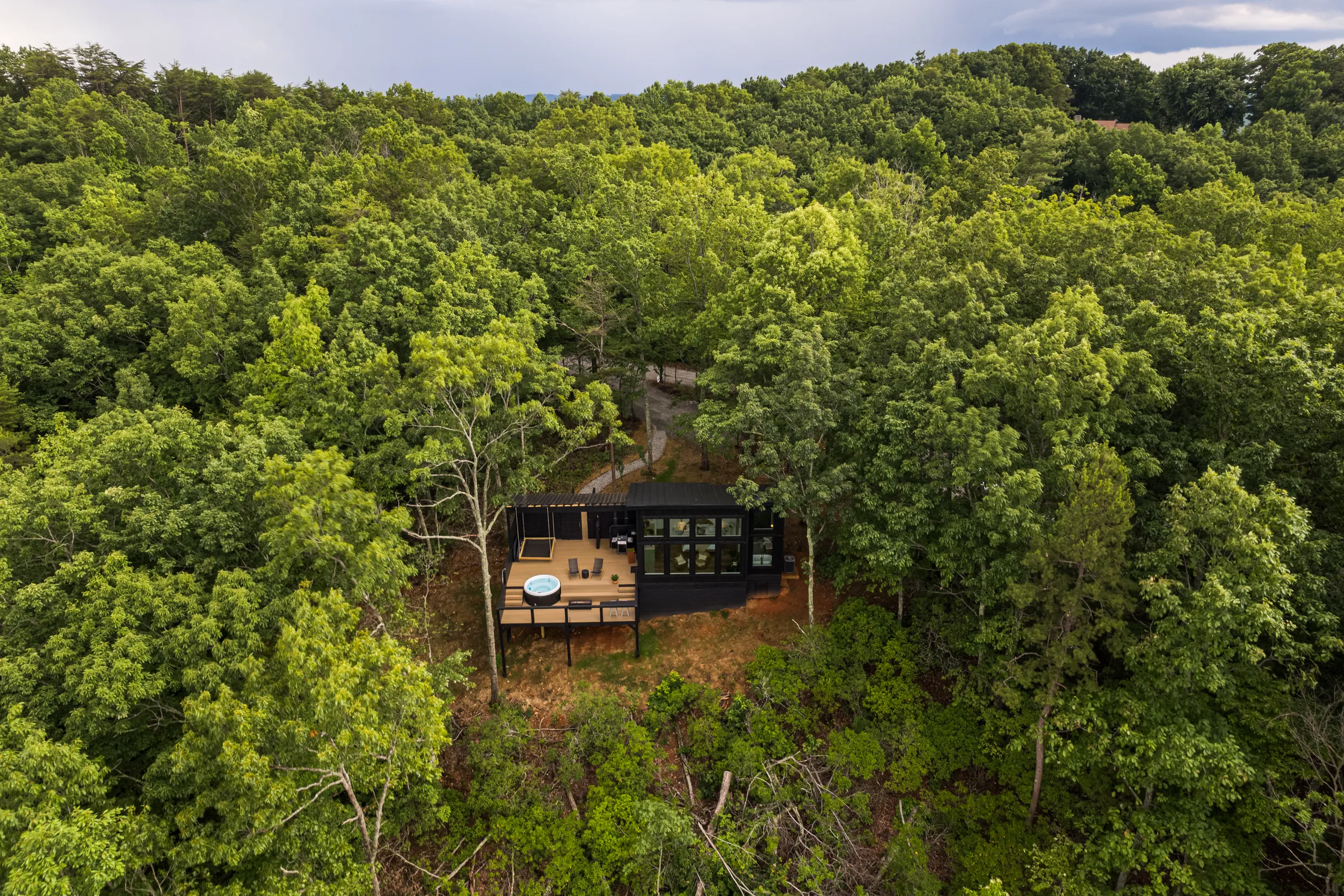 Wander Dahlonega Sourwood #5