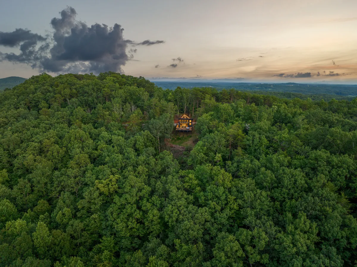 Wander Dahlonega Spruce #25