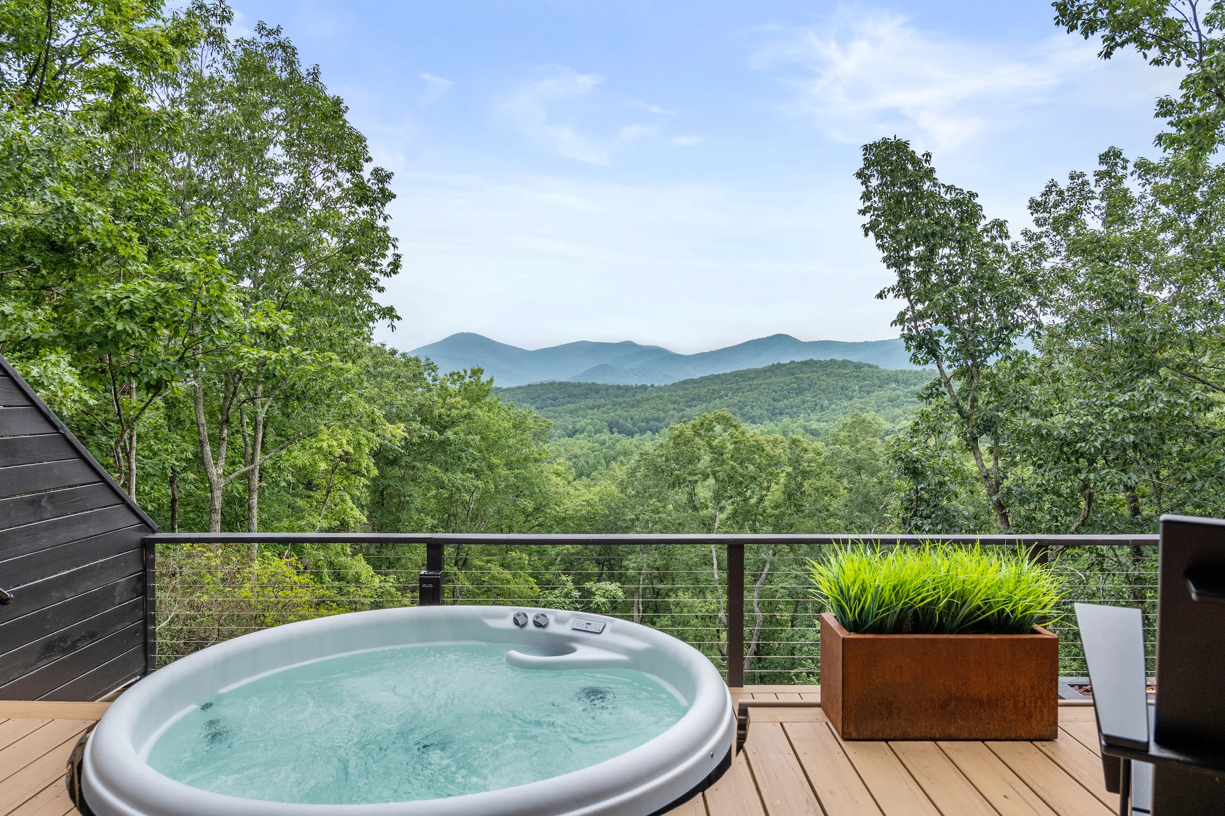 Wander Dahlonega Spruce #7