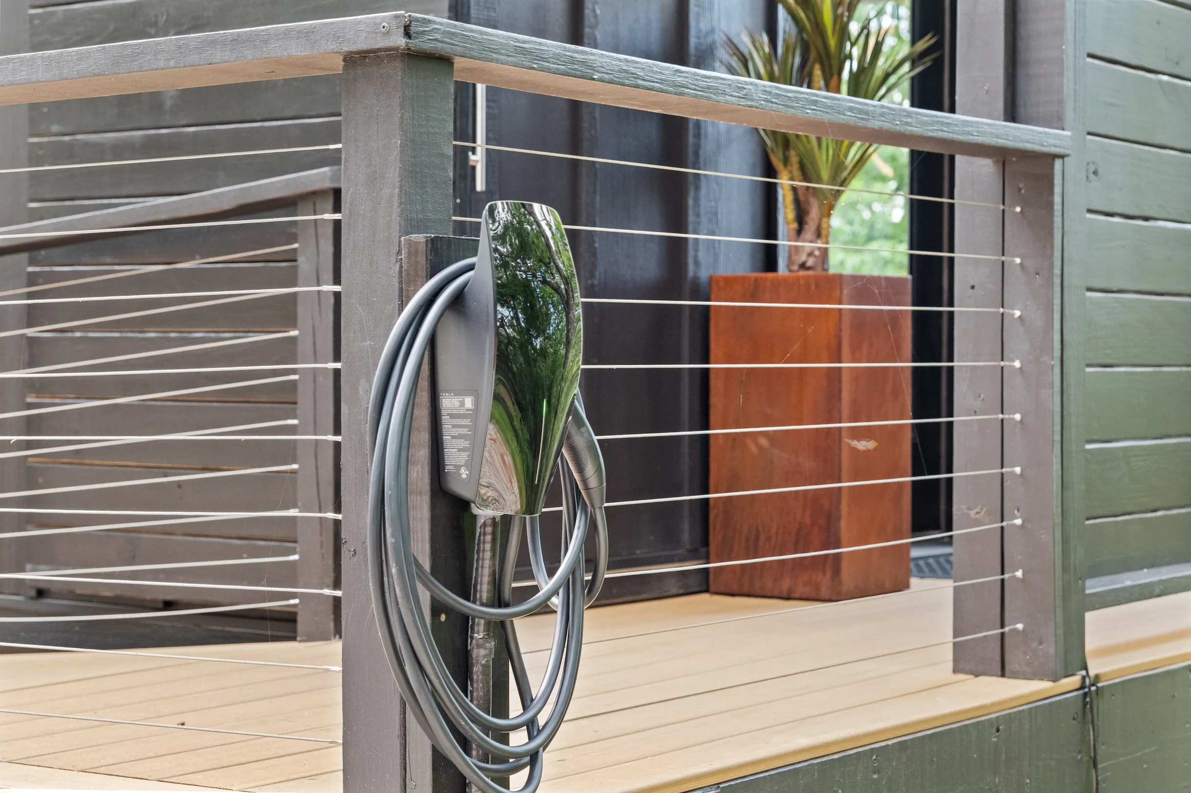 Wander Dahlonega Spruce #15