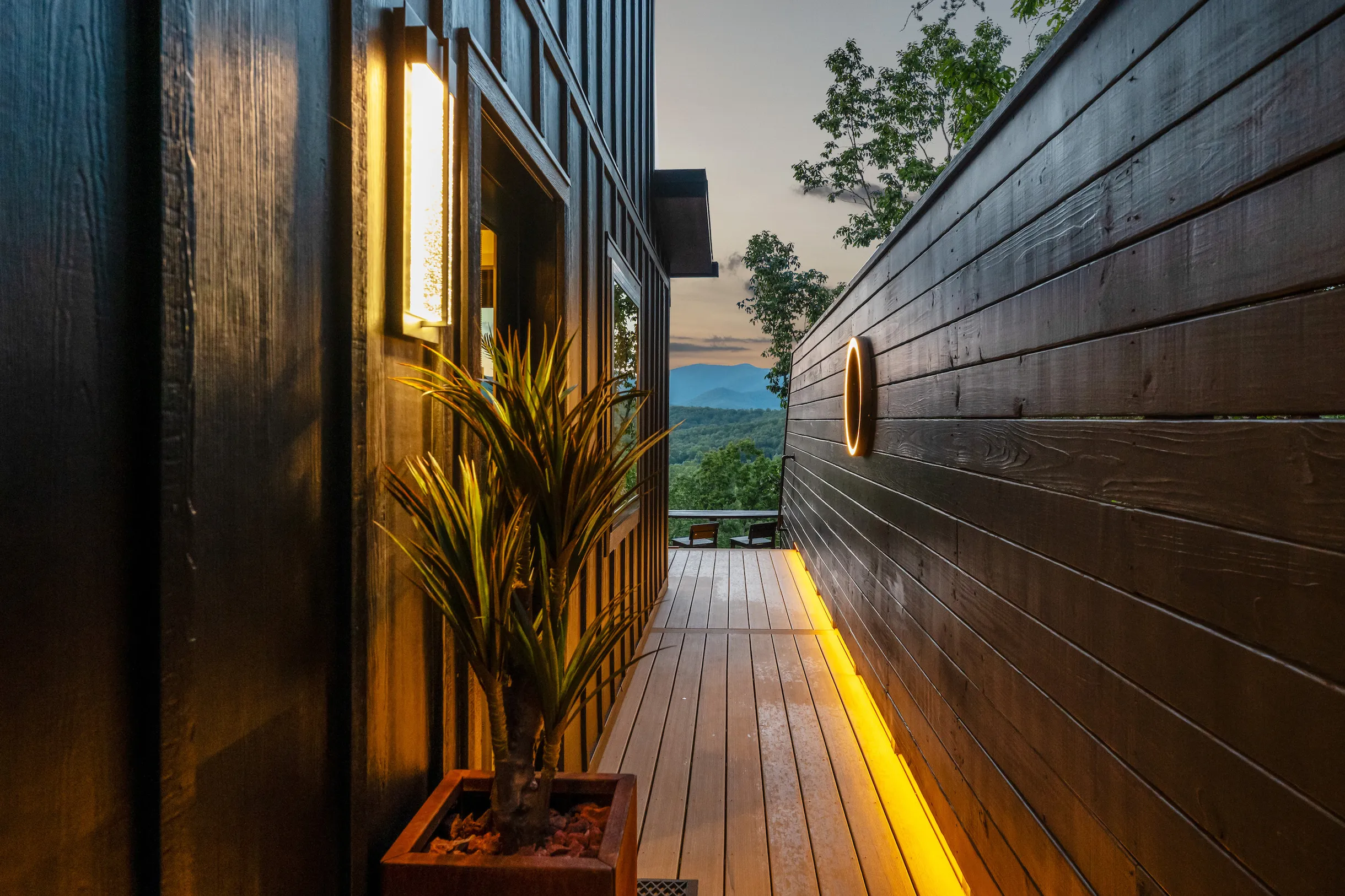 Wander Dahlonega Spruce #29