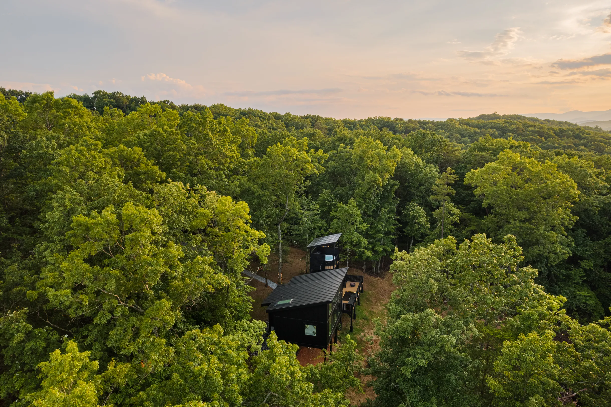 Wander Dahlonega Ash